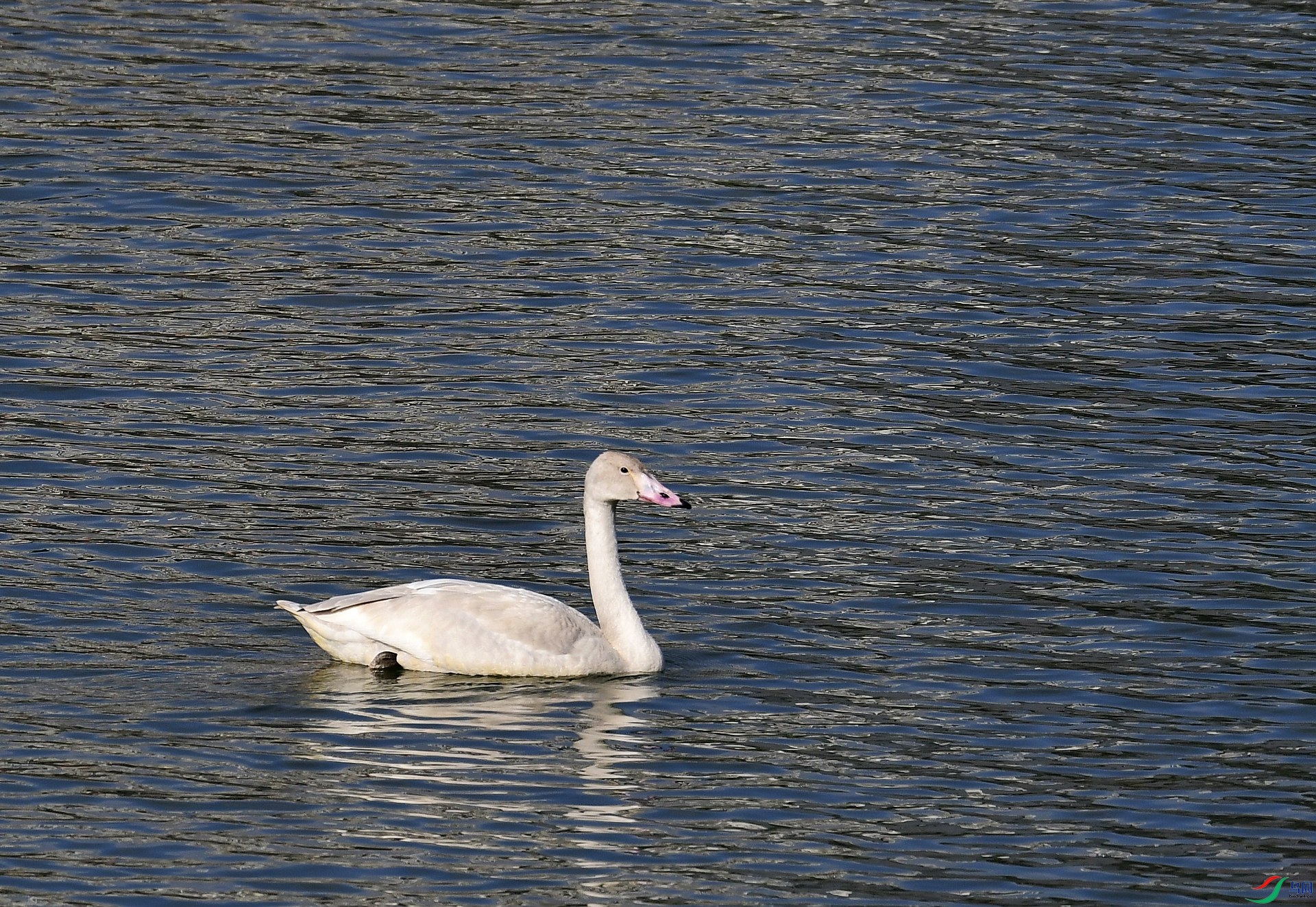 _D5D0163.jpg