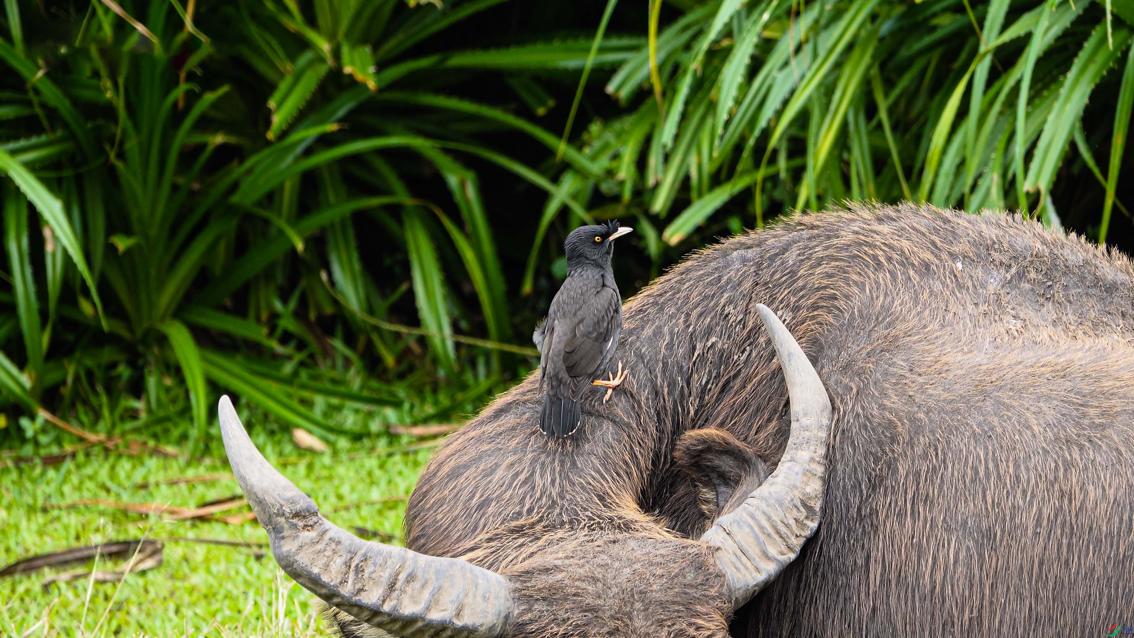 ���� 01.00_00_58_05.Still001.jpg