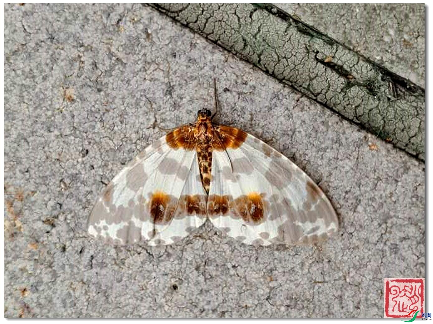 WeChat �DƬ_20221130172322_����_����.jpg