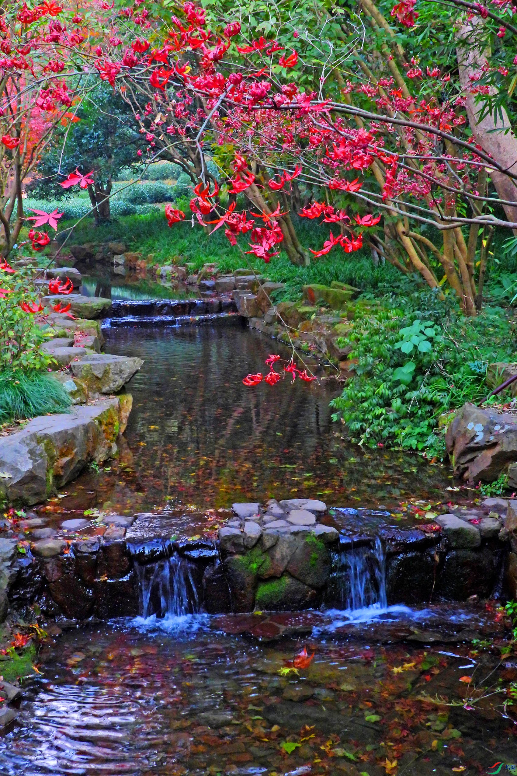 DSCN1744.JPG