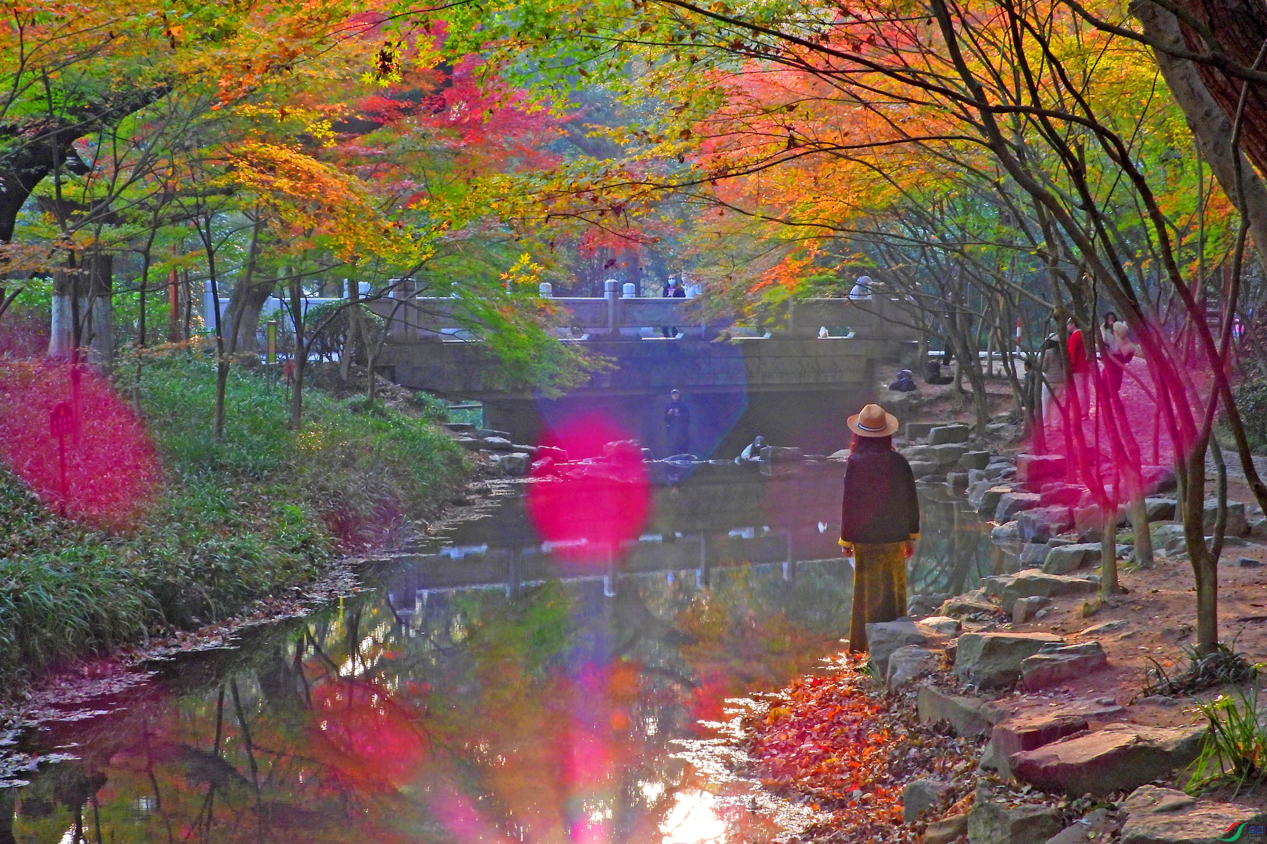 DSCN1726.JPG