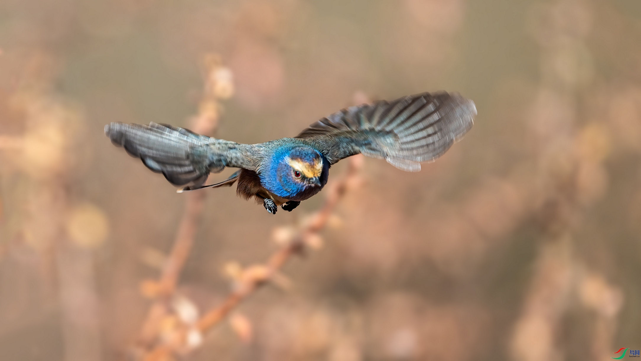 ��ƬDSC_8280 ����.jpg