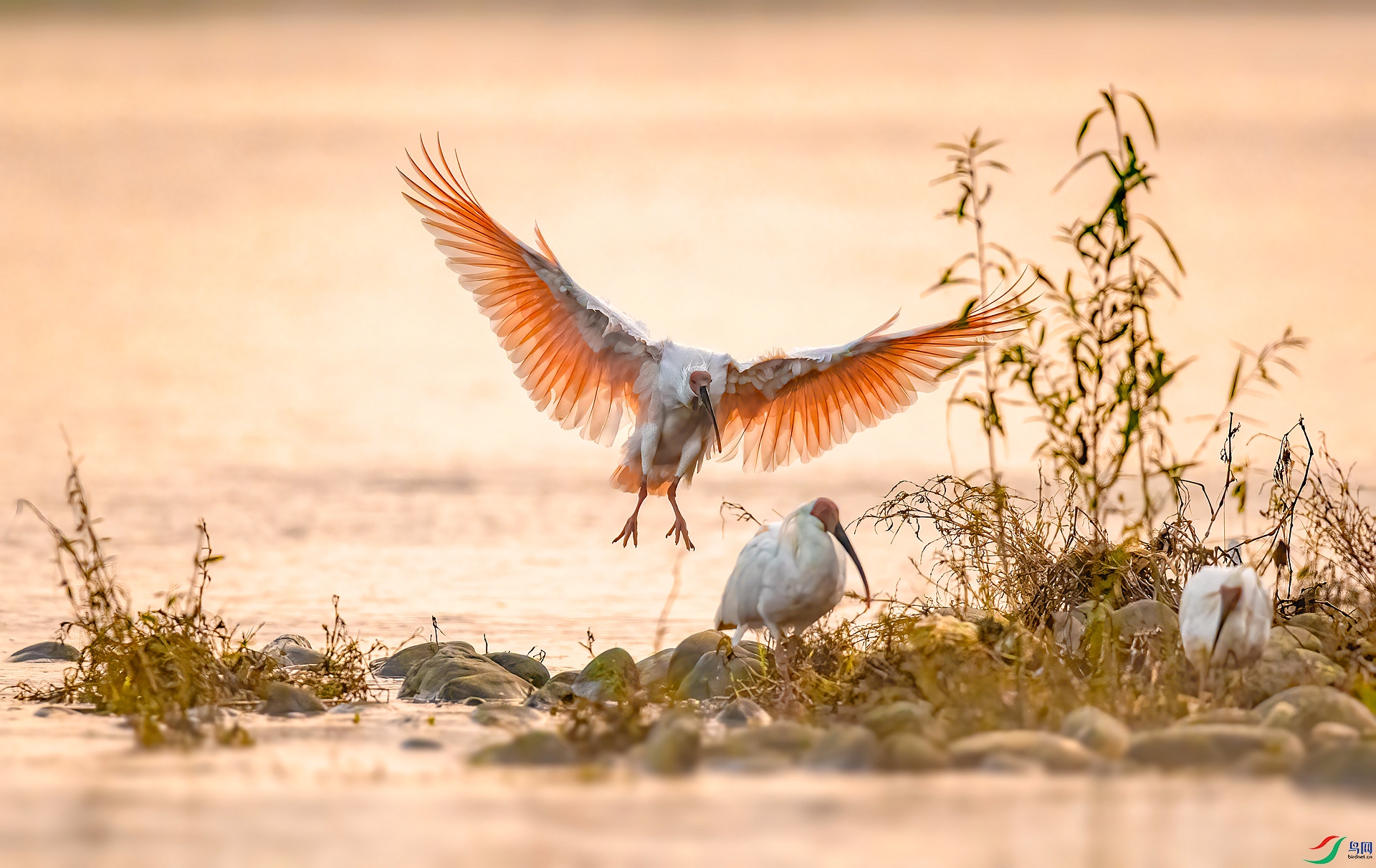 DSC_1410 ����_����.jpg