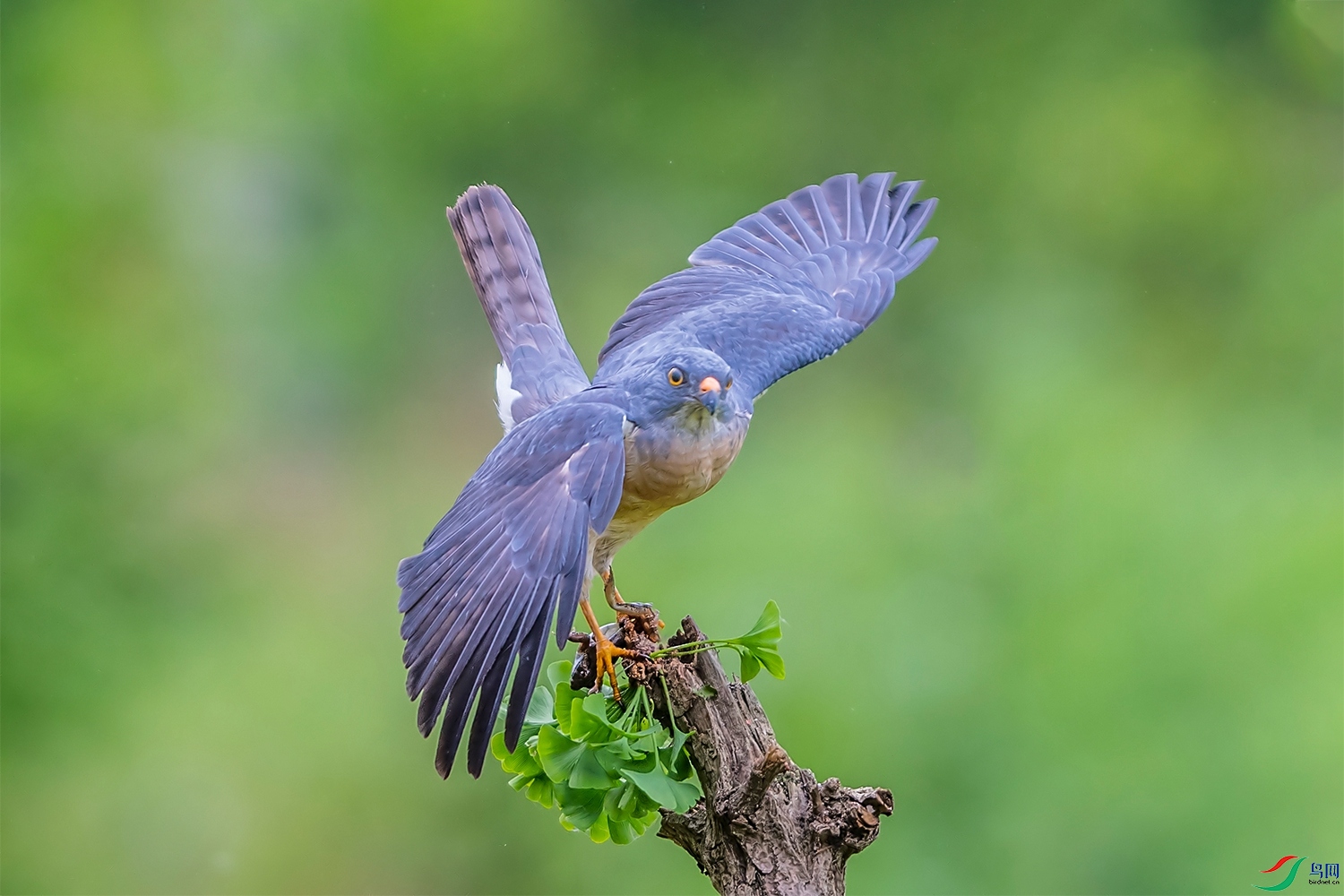 DSC_5737.jpg