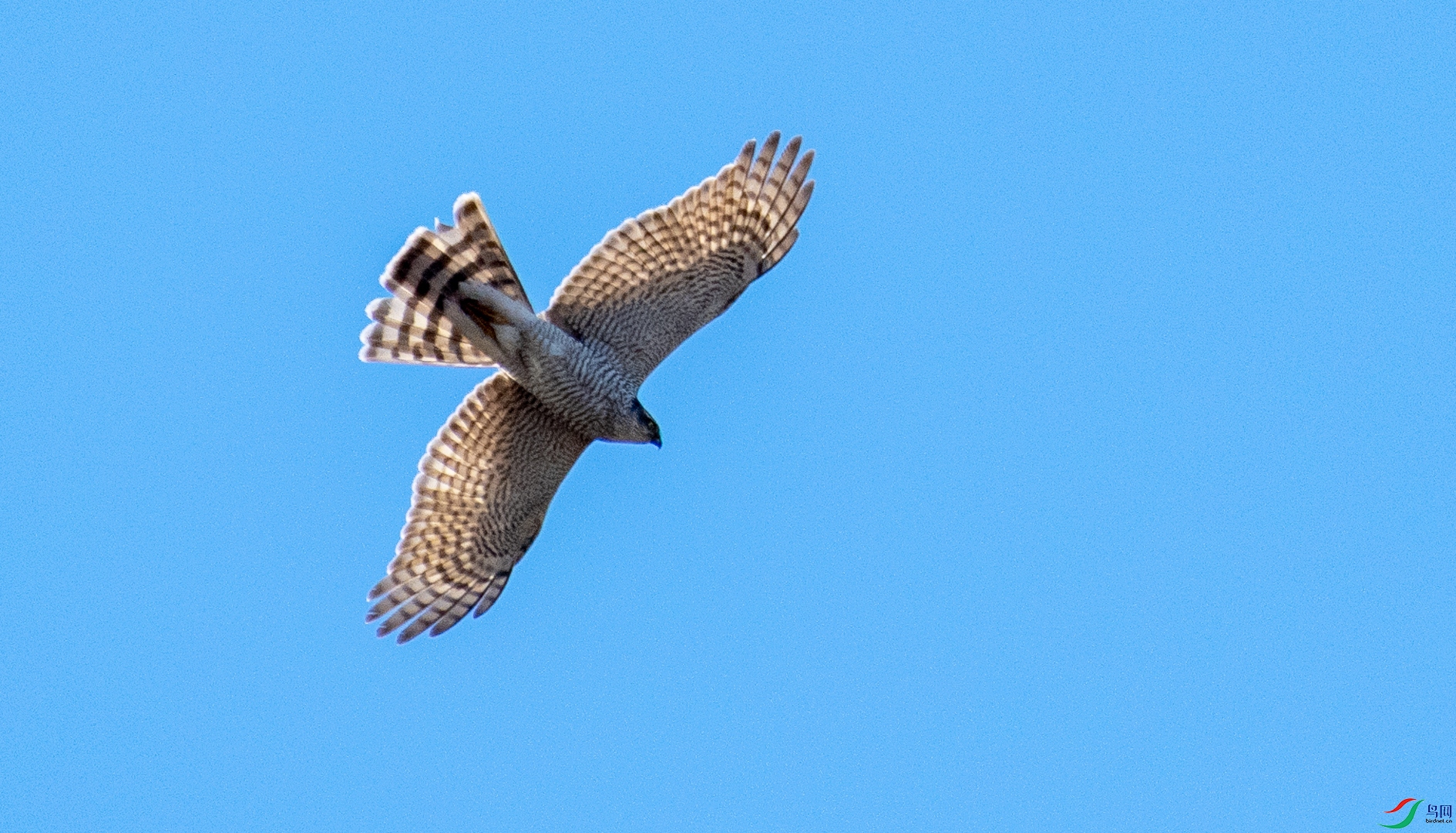 DSC_3583.jpg