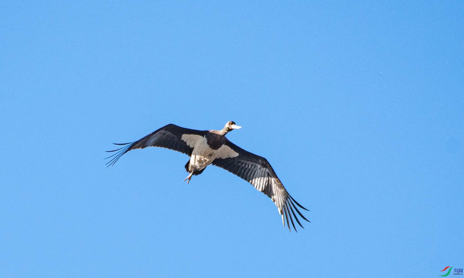 DSC_3654.jpg