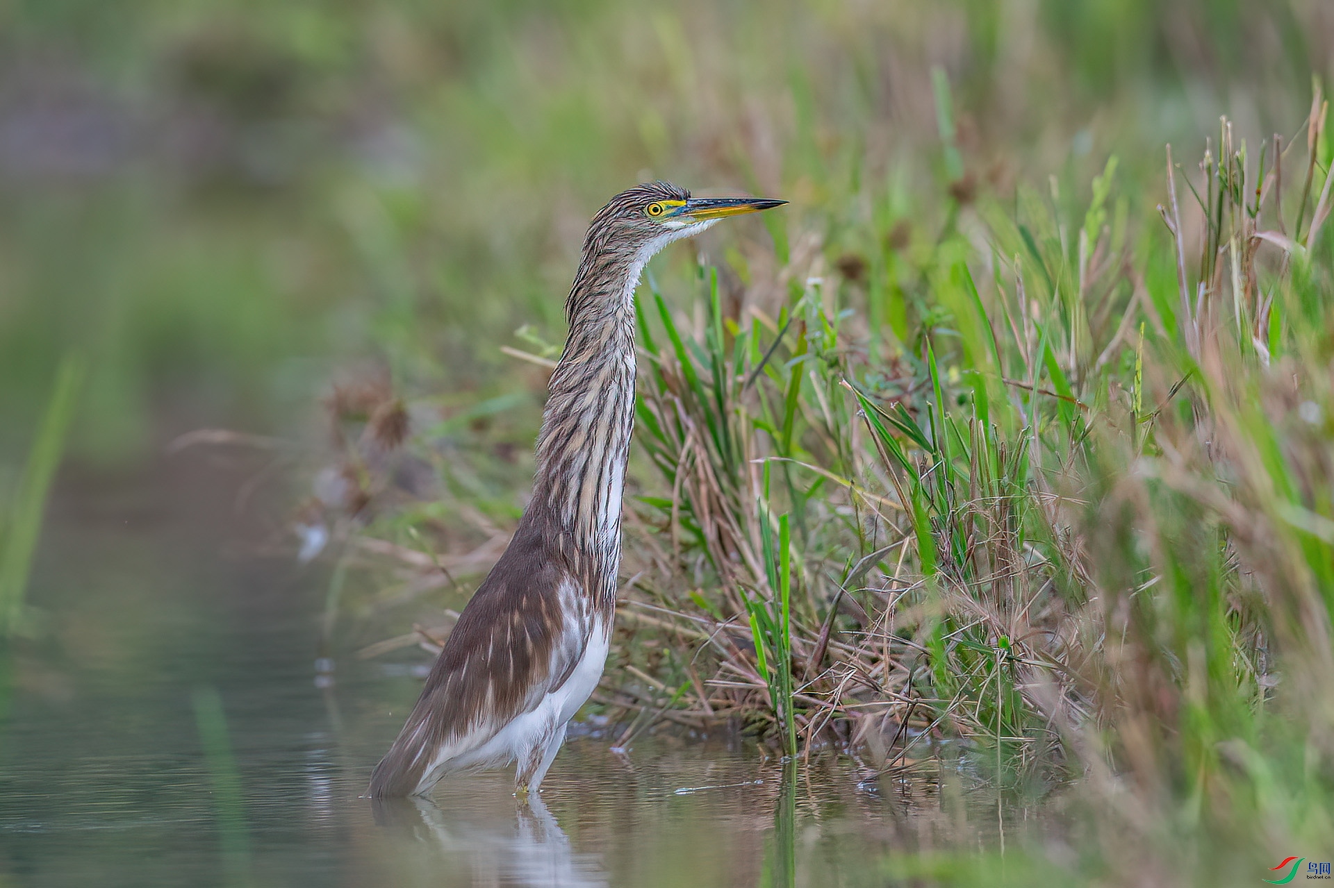 DSC_0164.jpg
