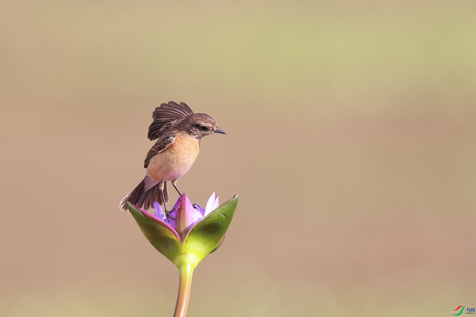 1M6A1645 ����_����.jpg