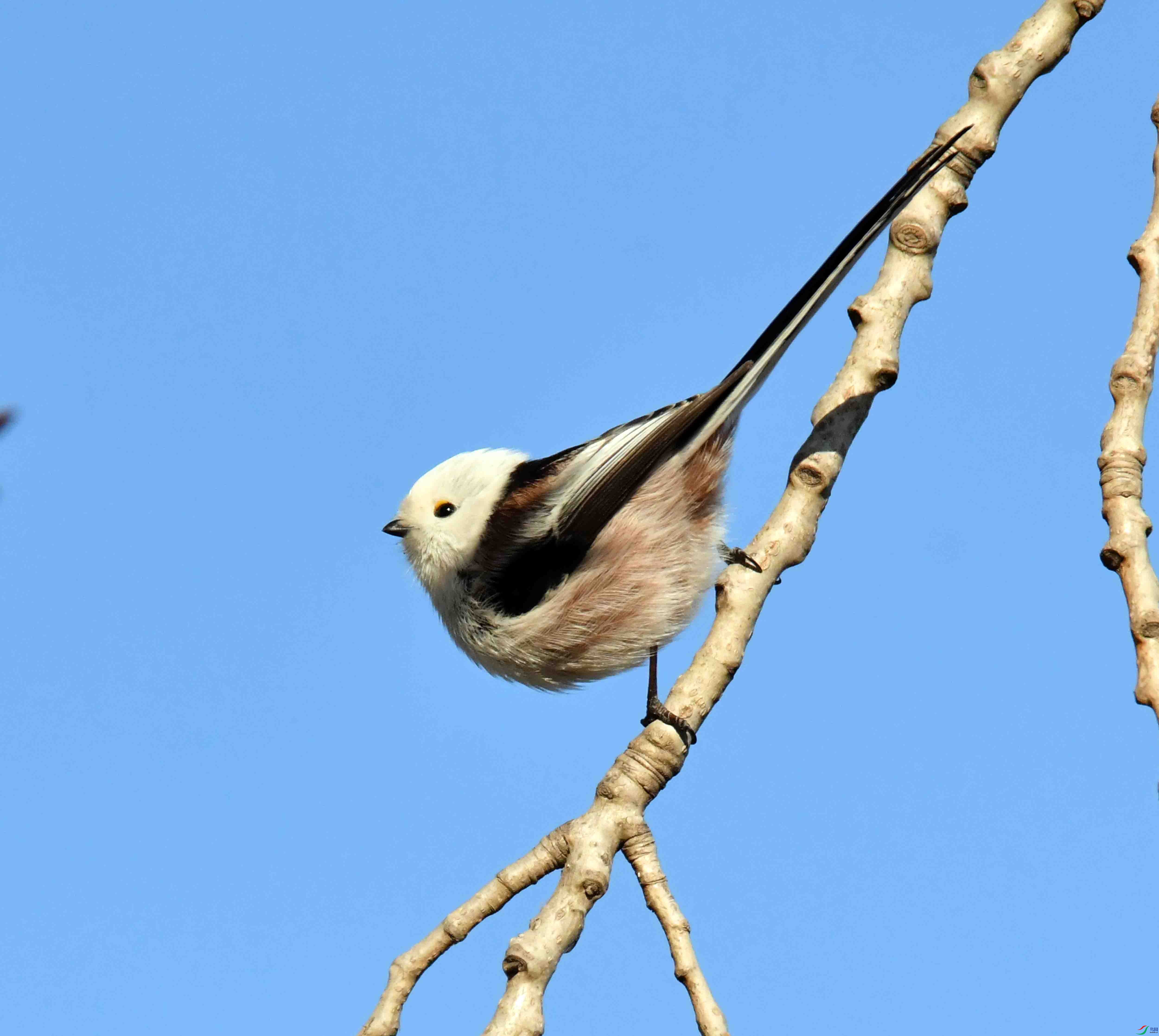 DSC_2755.JPG