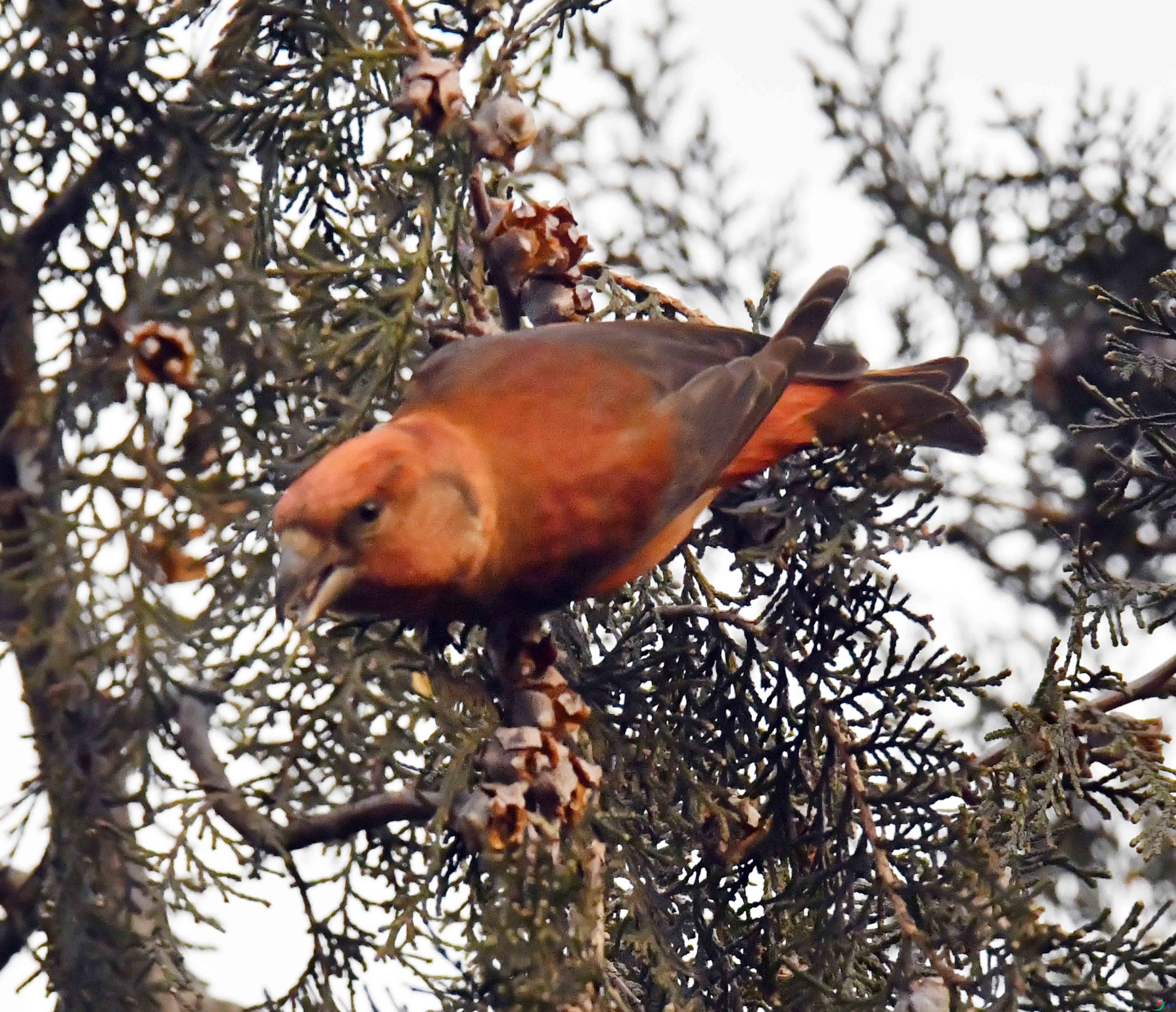 DSC_4540.JPG