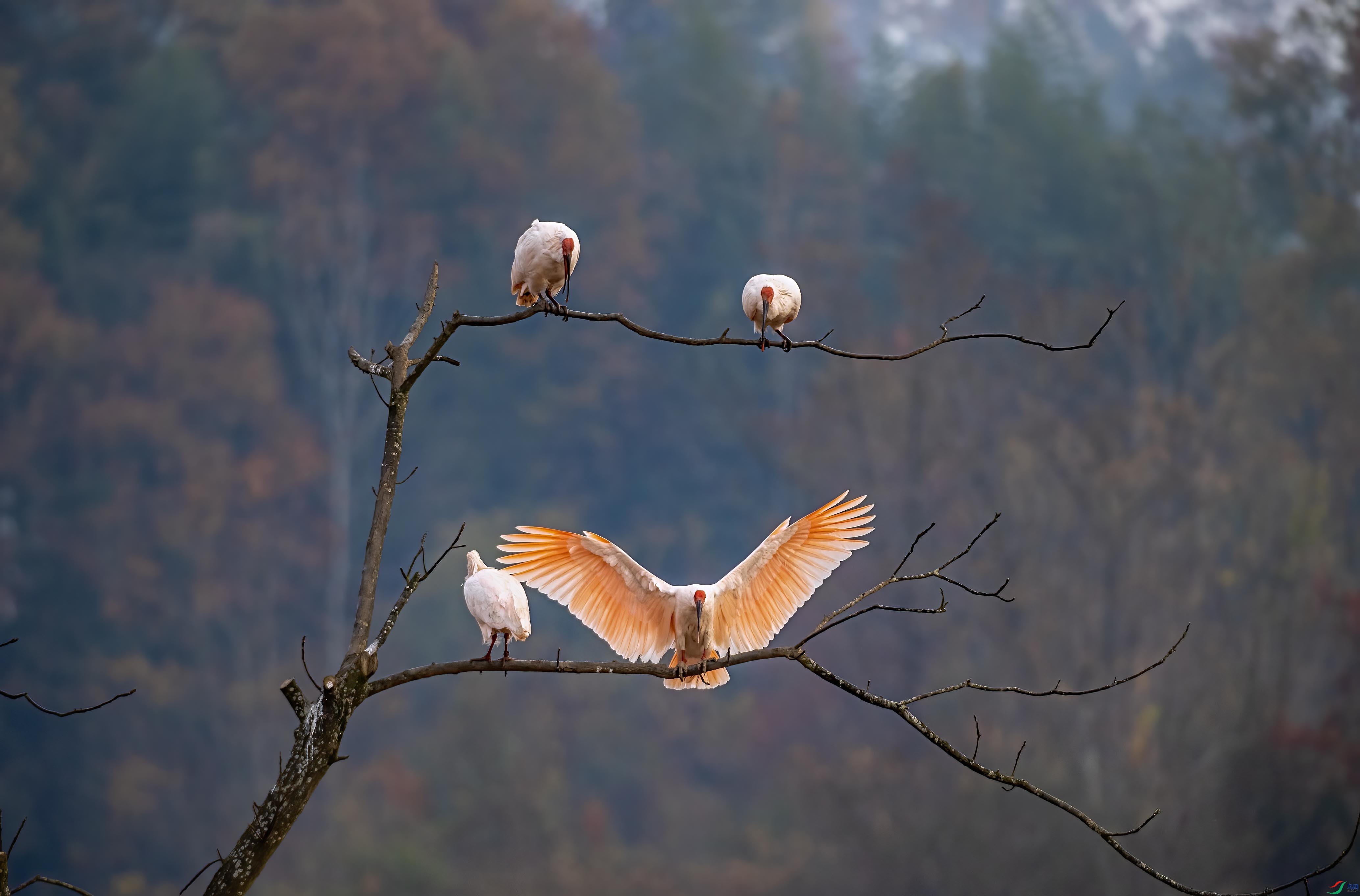 DSC_0227 ����.jpg