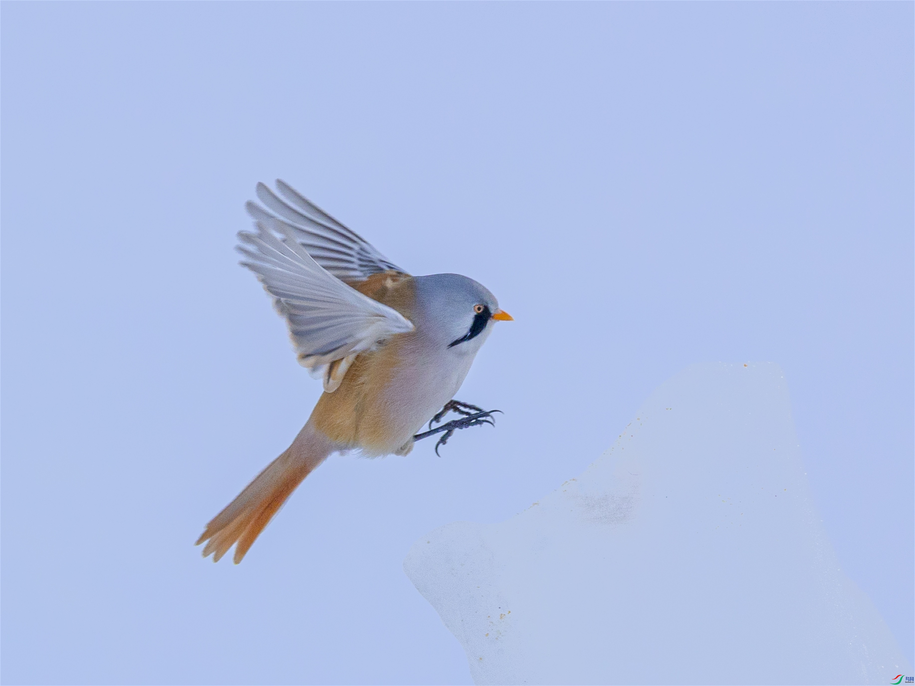 1K3A7294 ����1.jpg