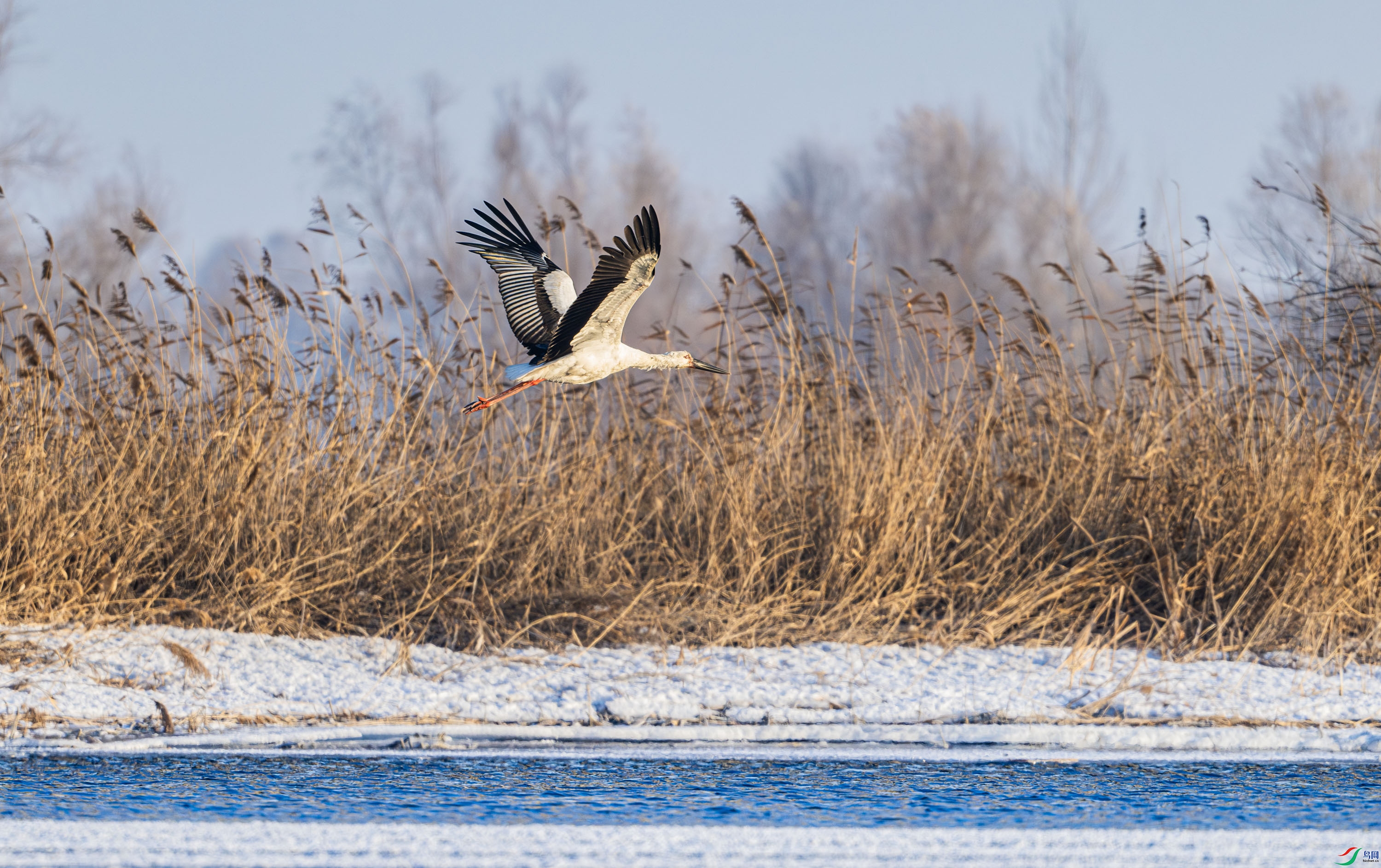 DSC_4410-����ǿ-NR_1.jpg