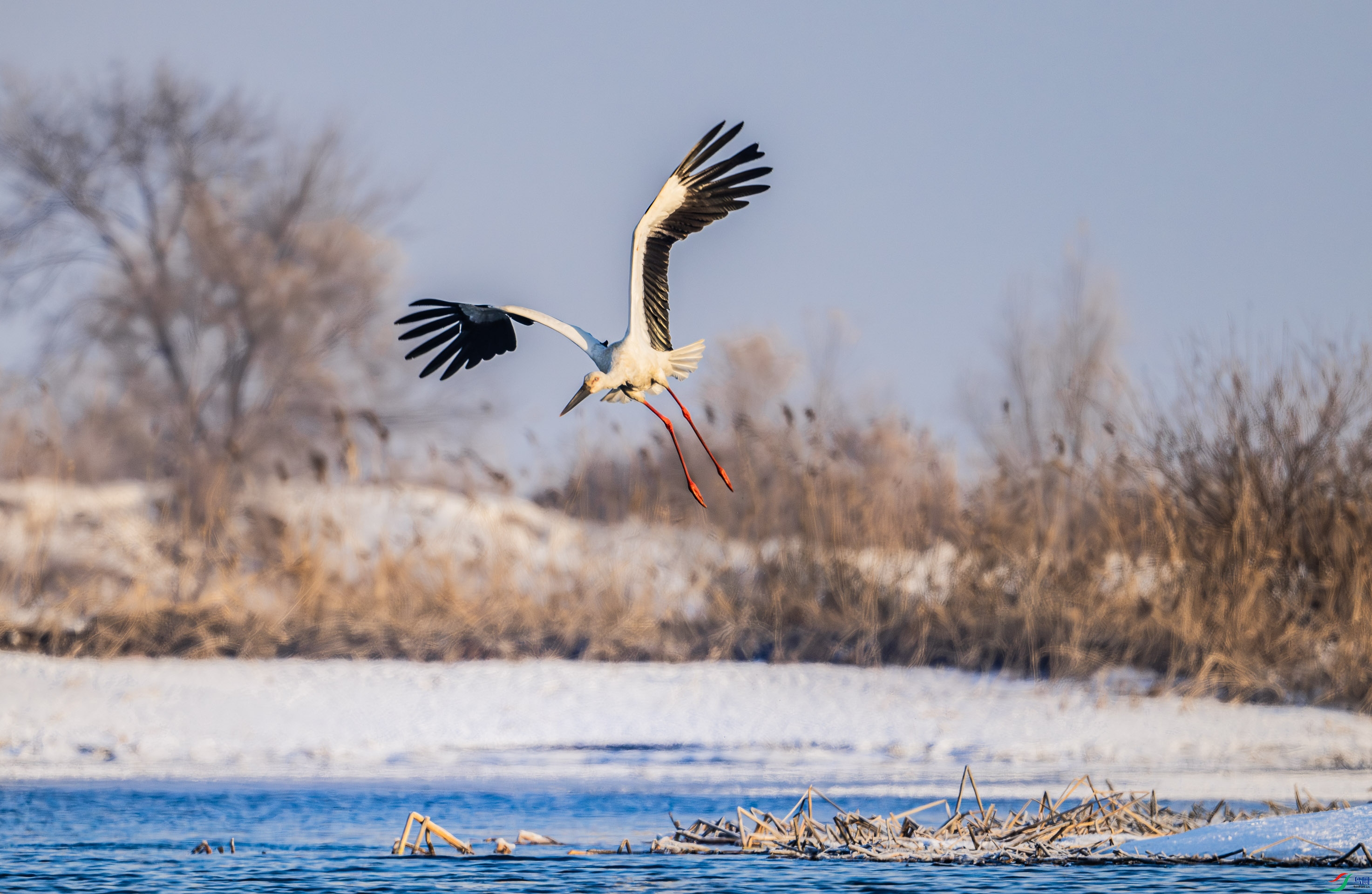 DSC_4349-����ǿ-NR.jpg