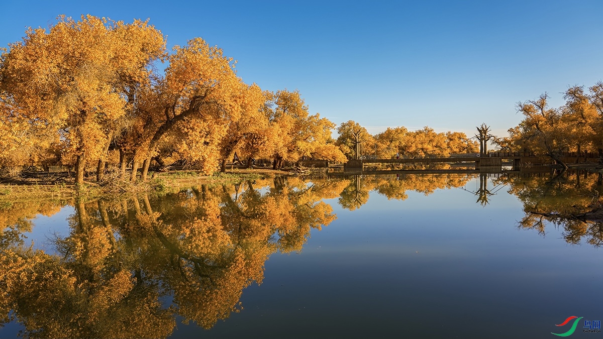 վ�ŵ�����ǧ��