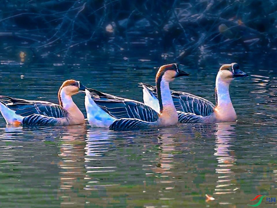 �������յĺ���