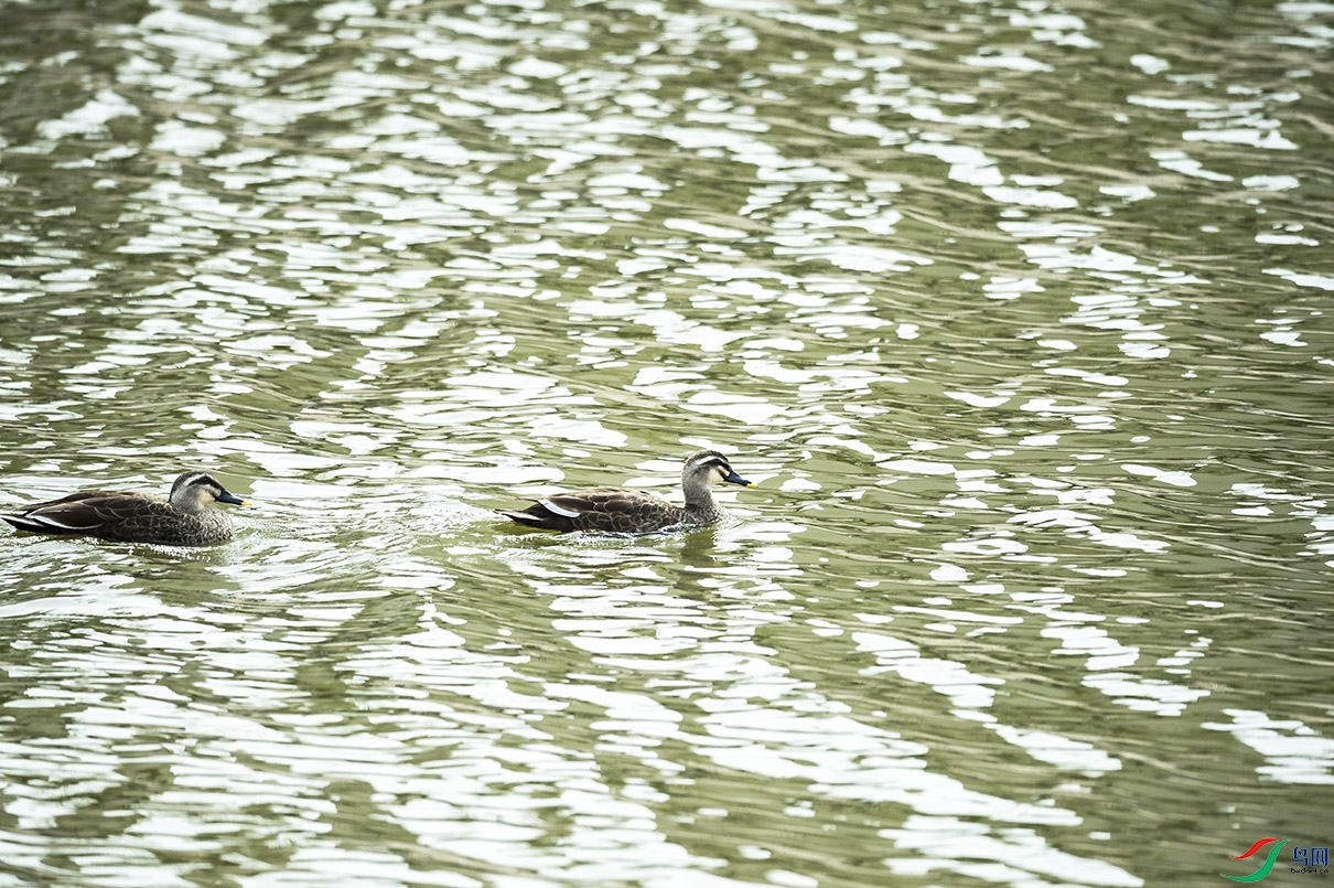 _DSC9898.jpg