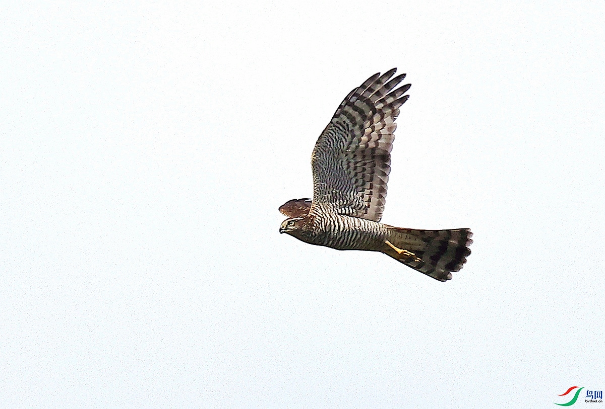 3A0033ȸӥ-23.jpg
