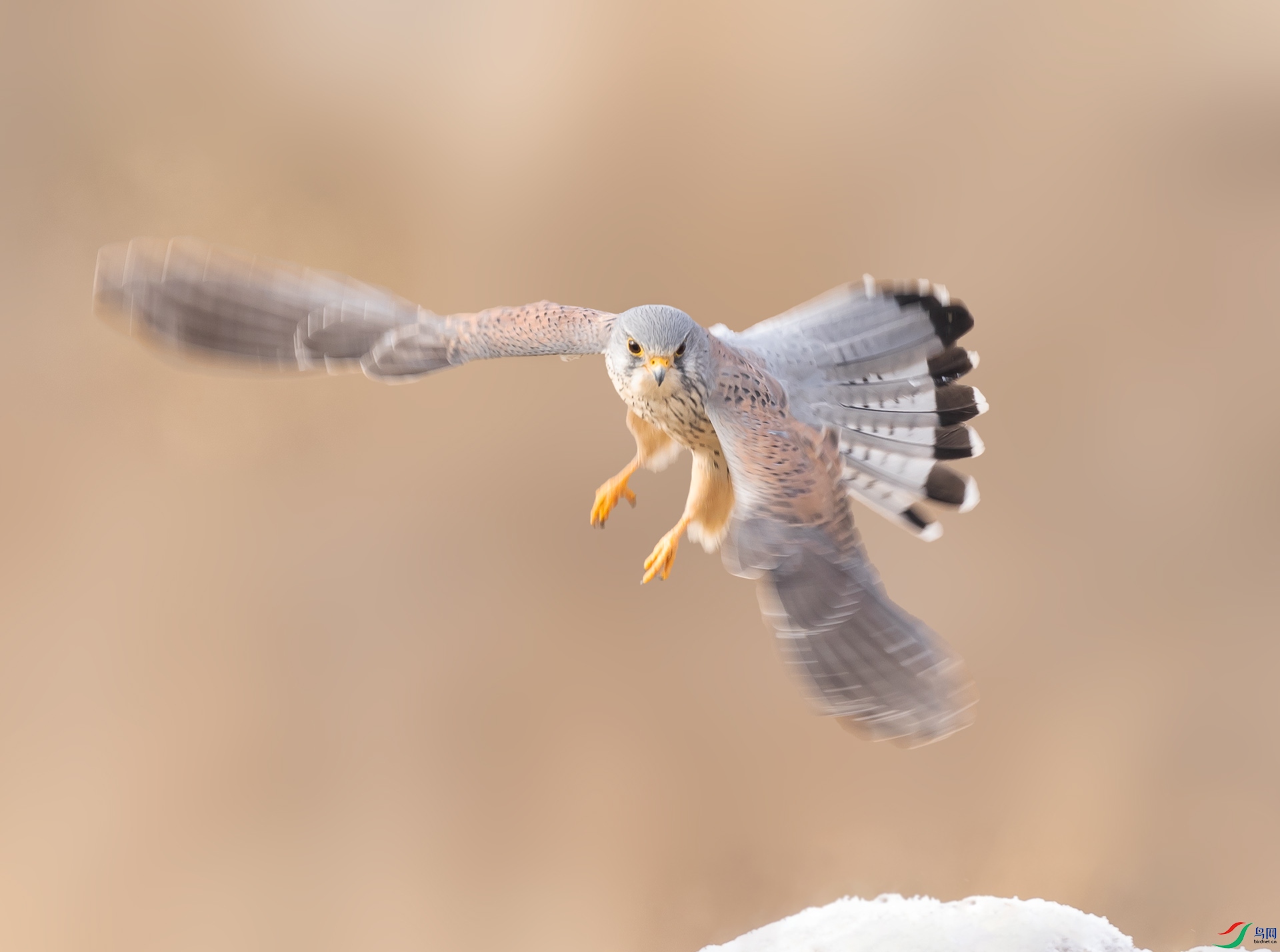 019A51900 ����.jpg