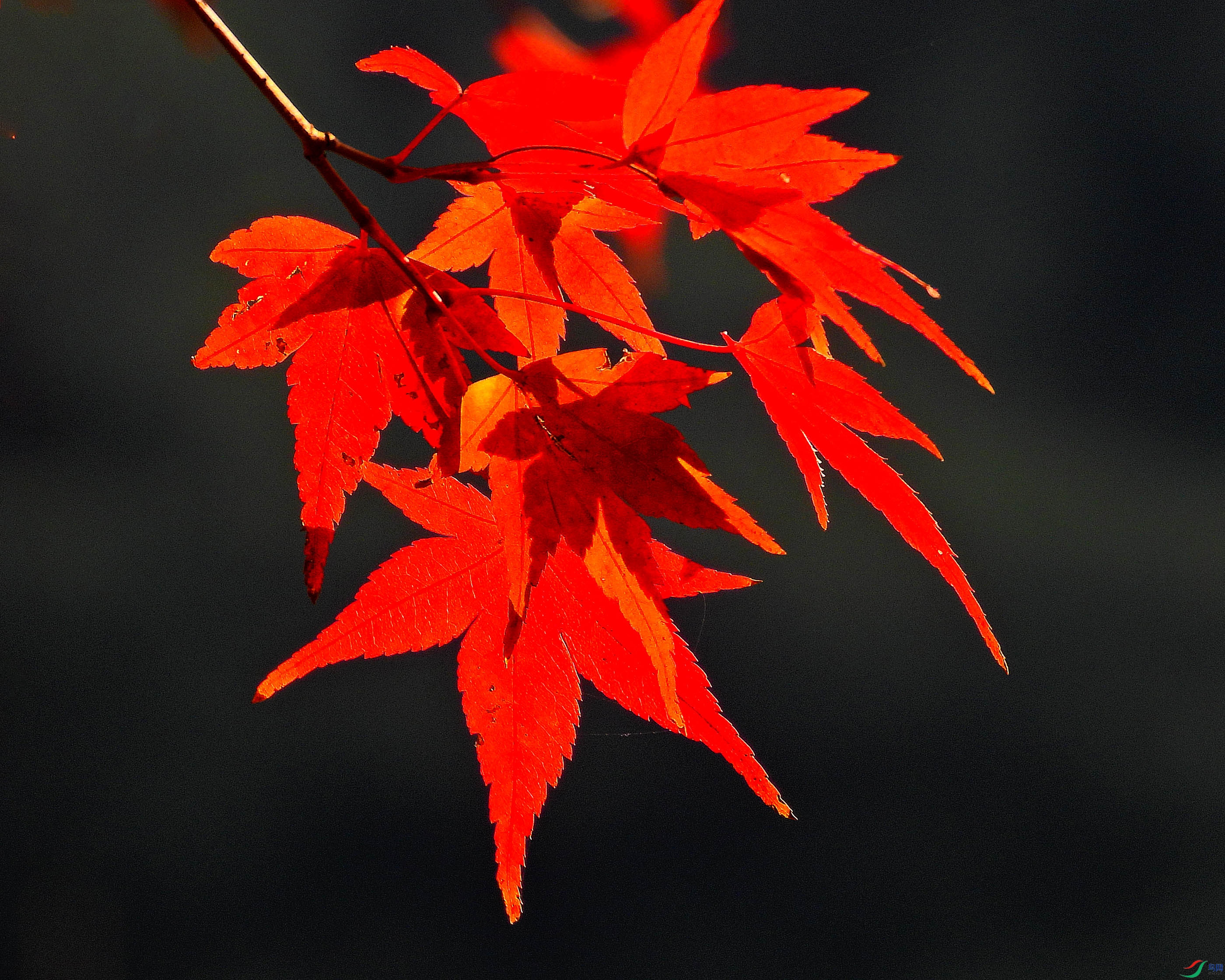 DSCN1749.JPG