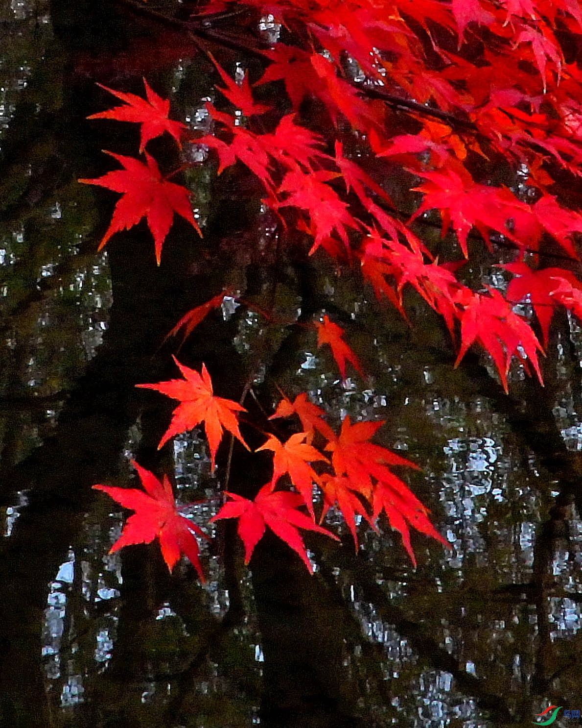 DSCN1712.JPG