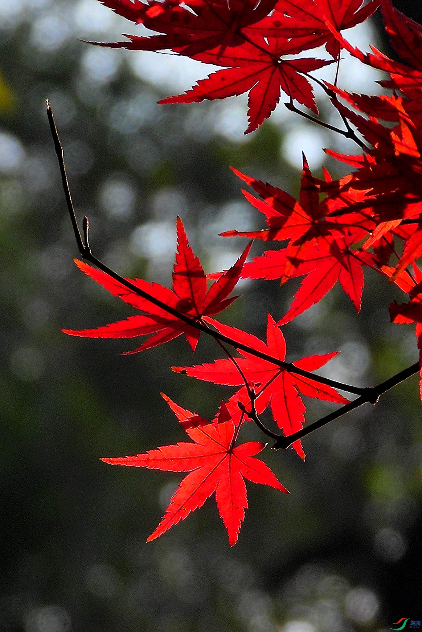DSCN1760.JPG