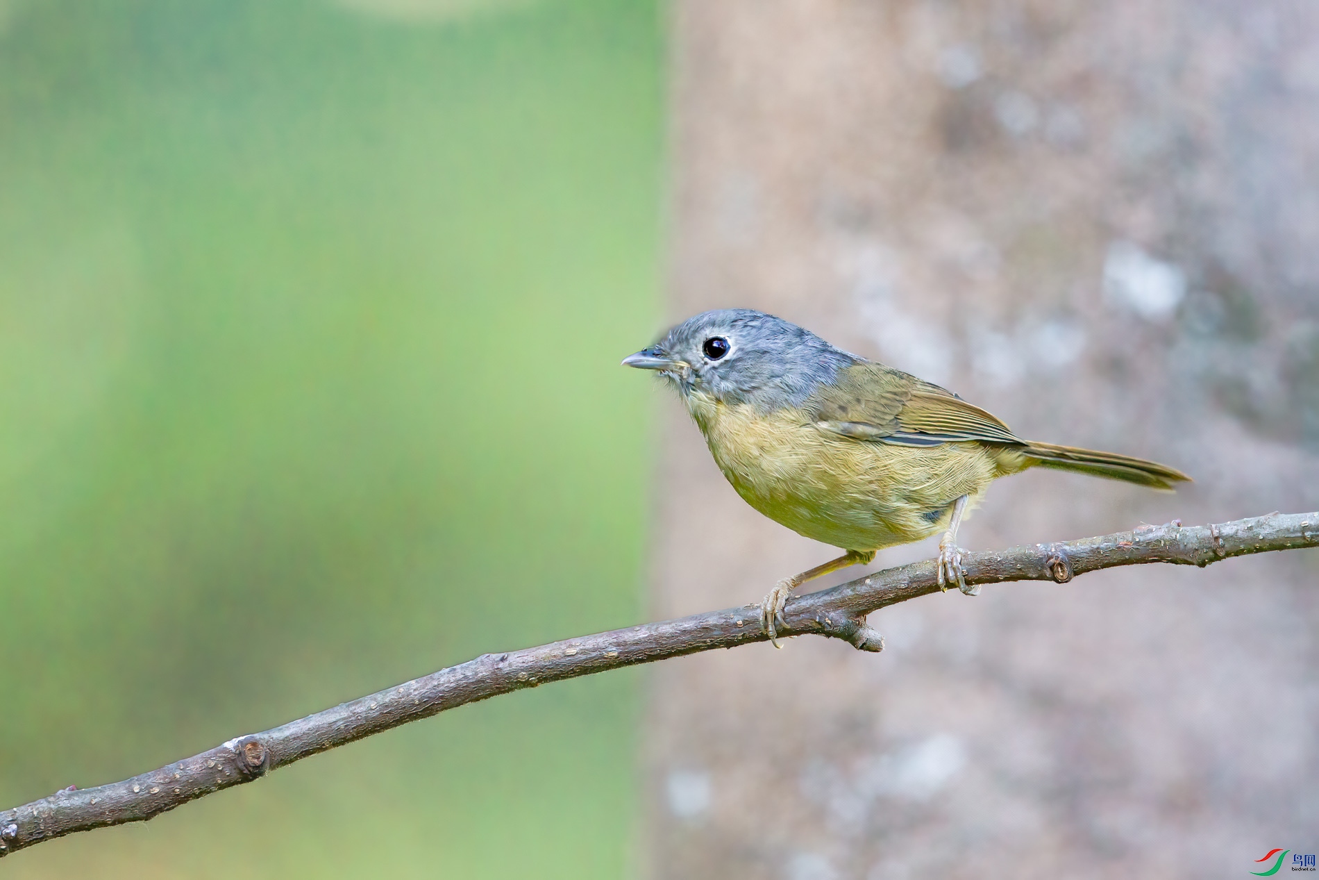 a_16404-1.jpg