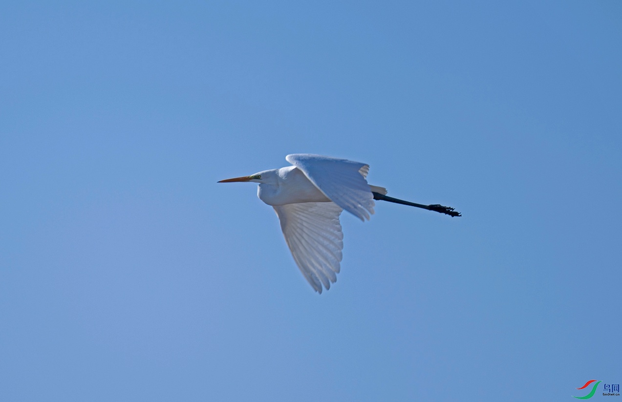 _DSC0878f_��ͼ��.jpg