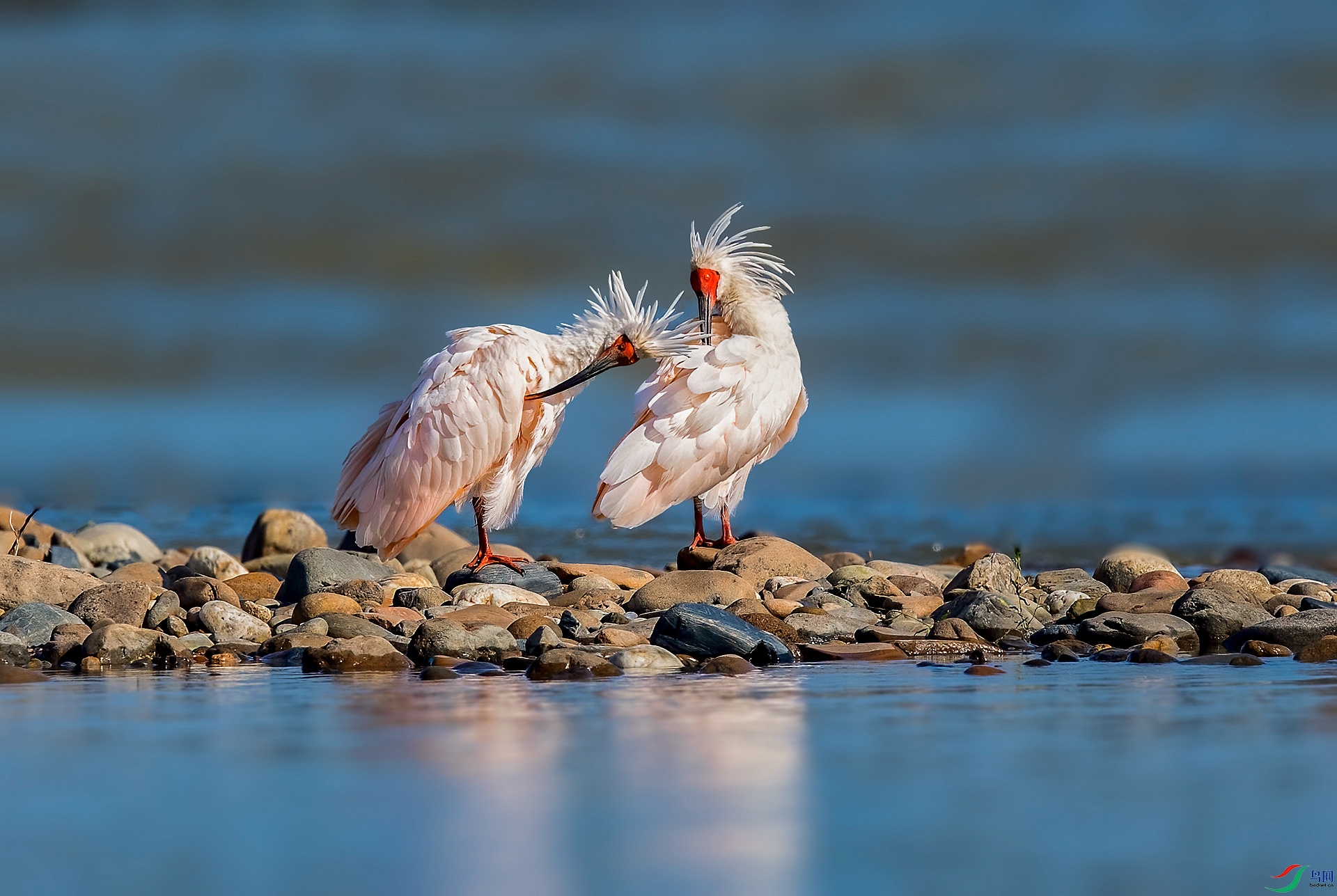 DSC_8943 ����_����.jpg