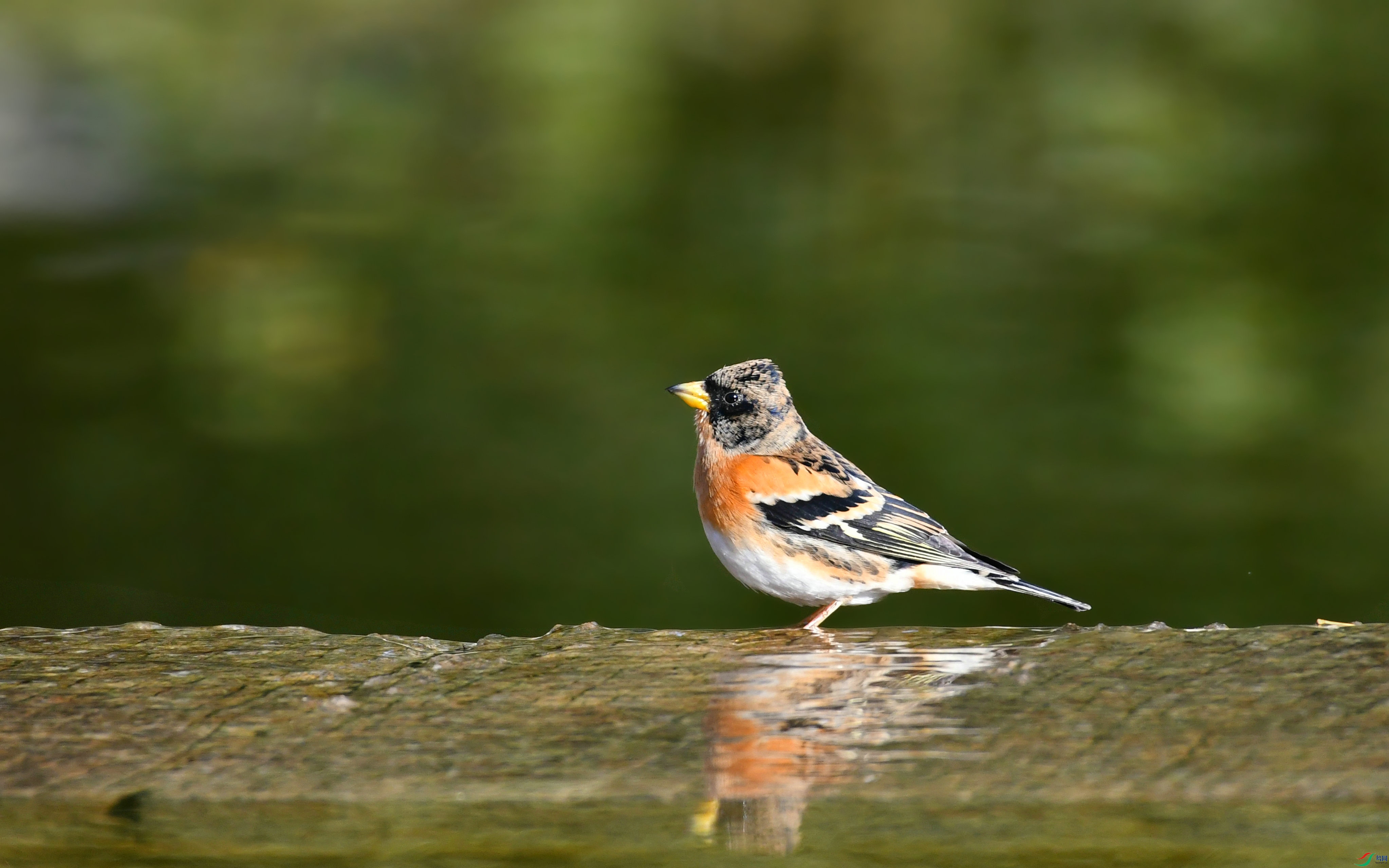 DSC_3741.JPG