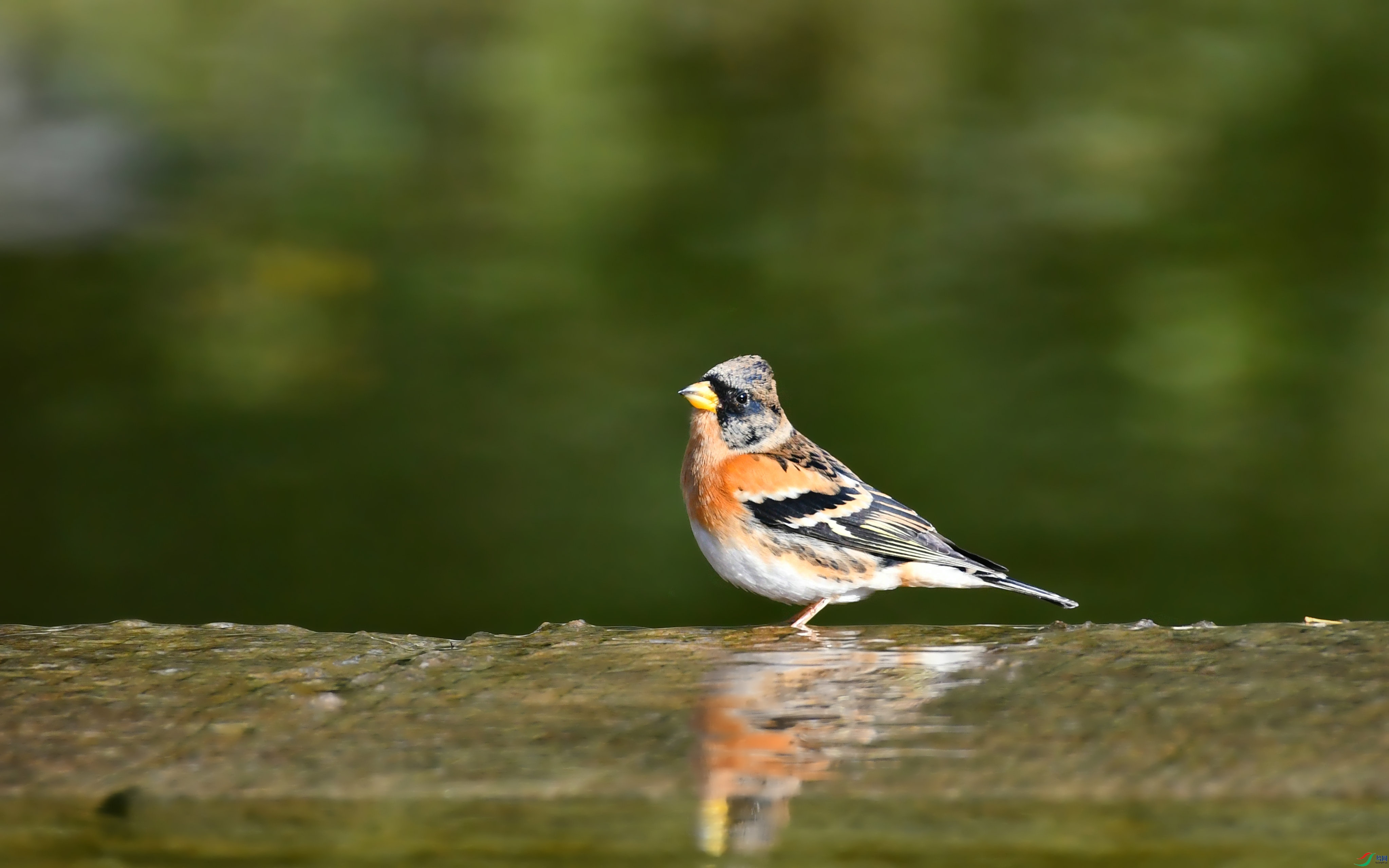 DSC_3739.JPG