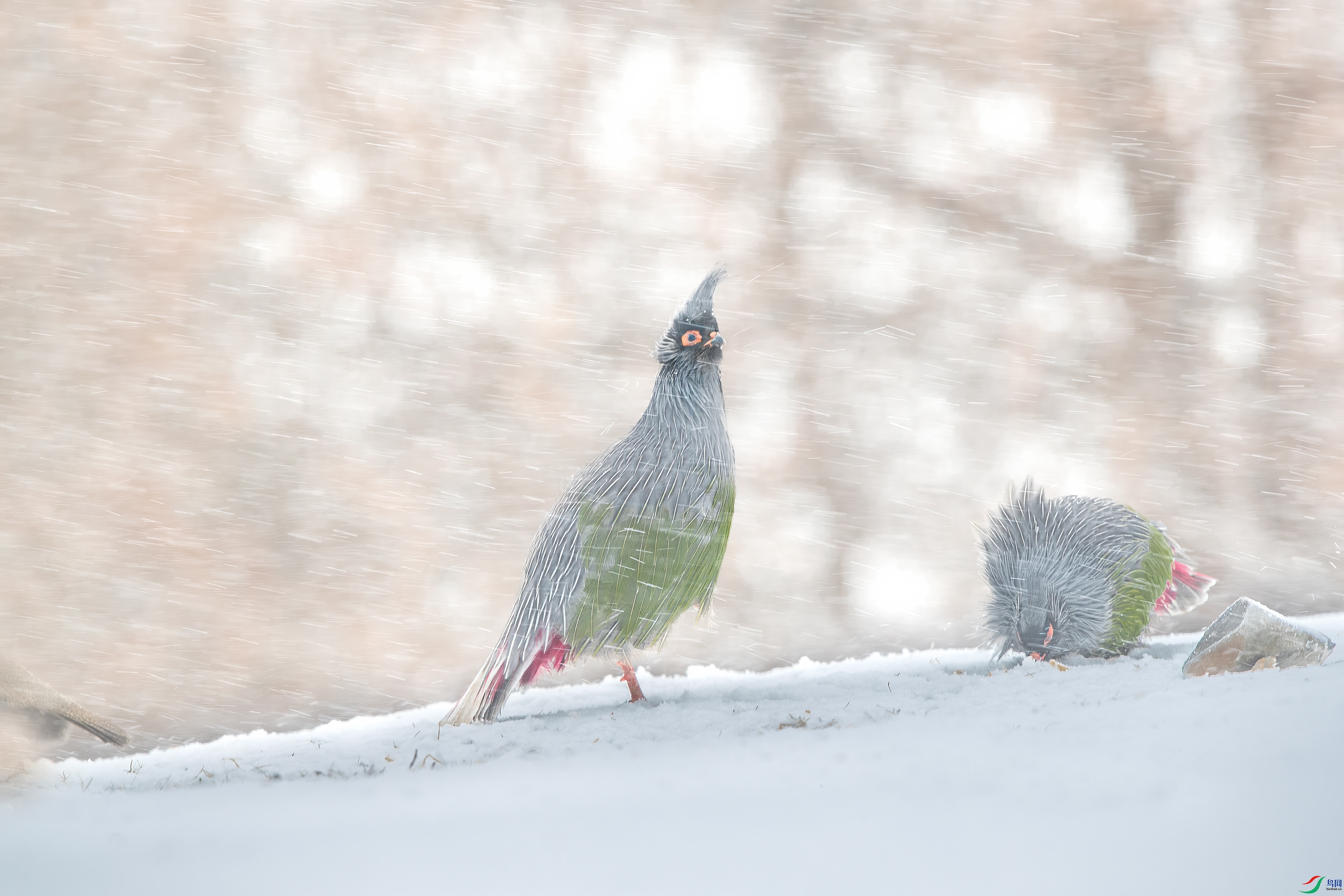 AY8I0415 ����.jpg