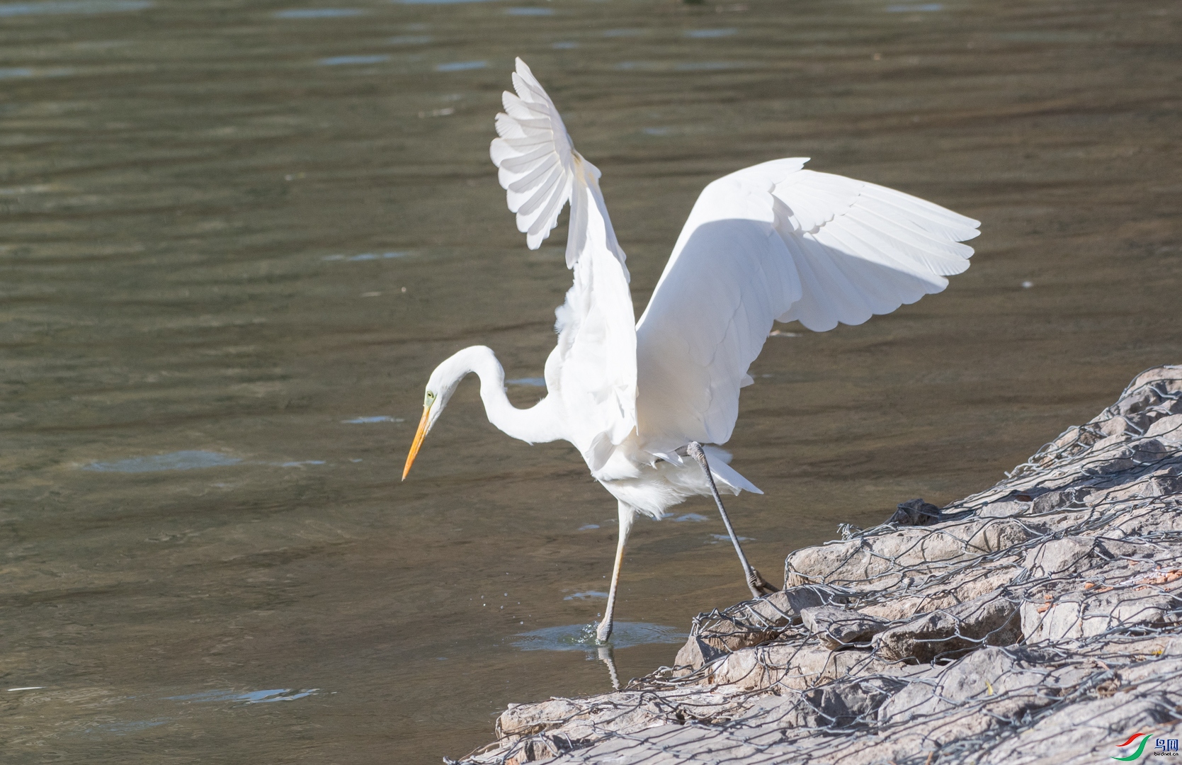 DSC_0701.jpg
