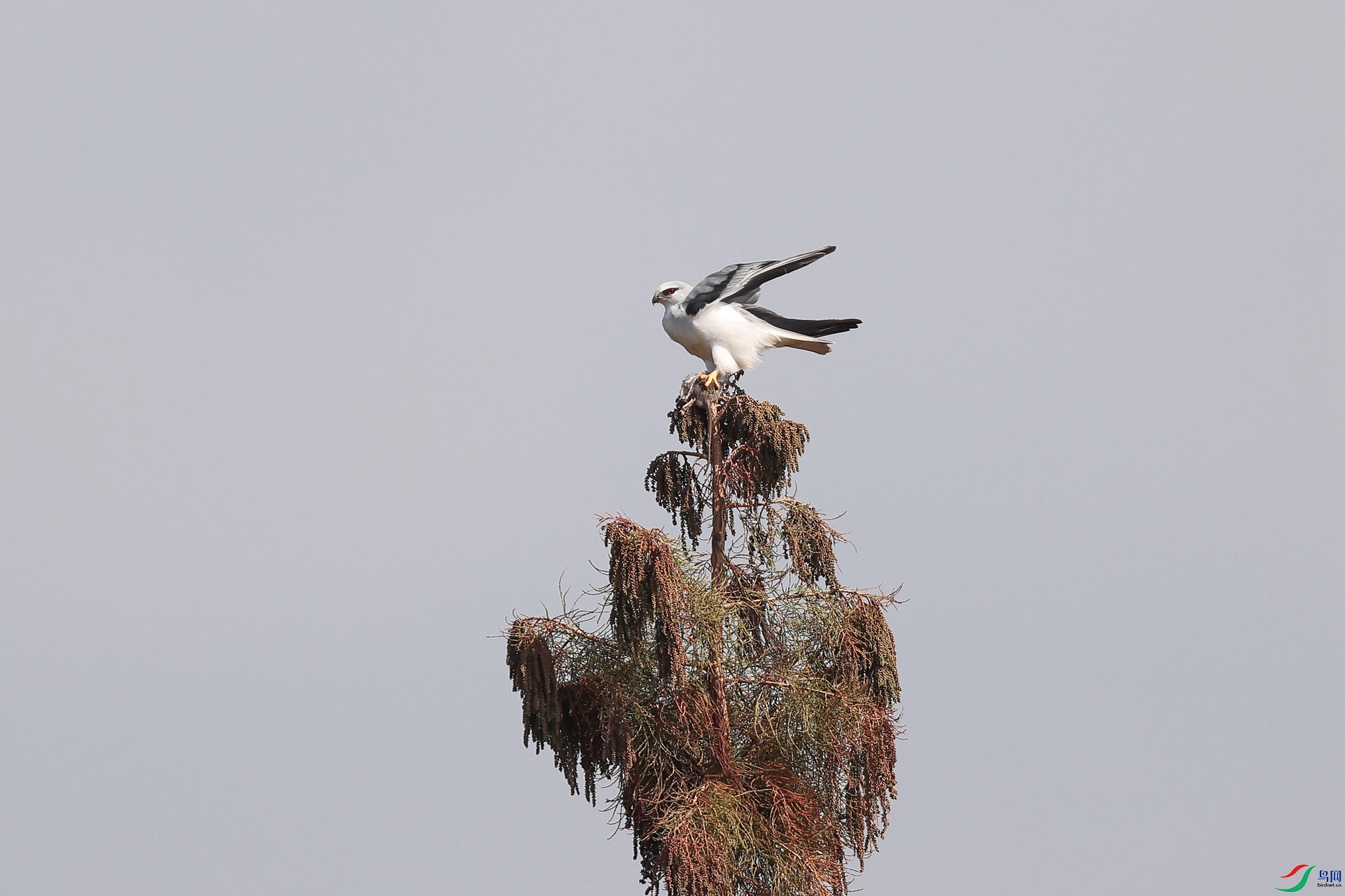 1M6A6193 ����_����.jpg