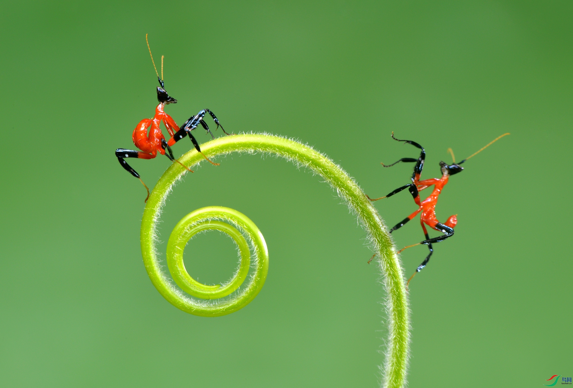 DSC_2074 ����.jpg