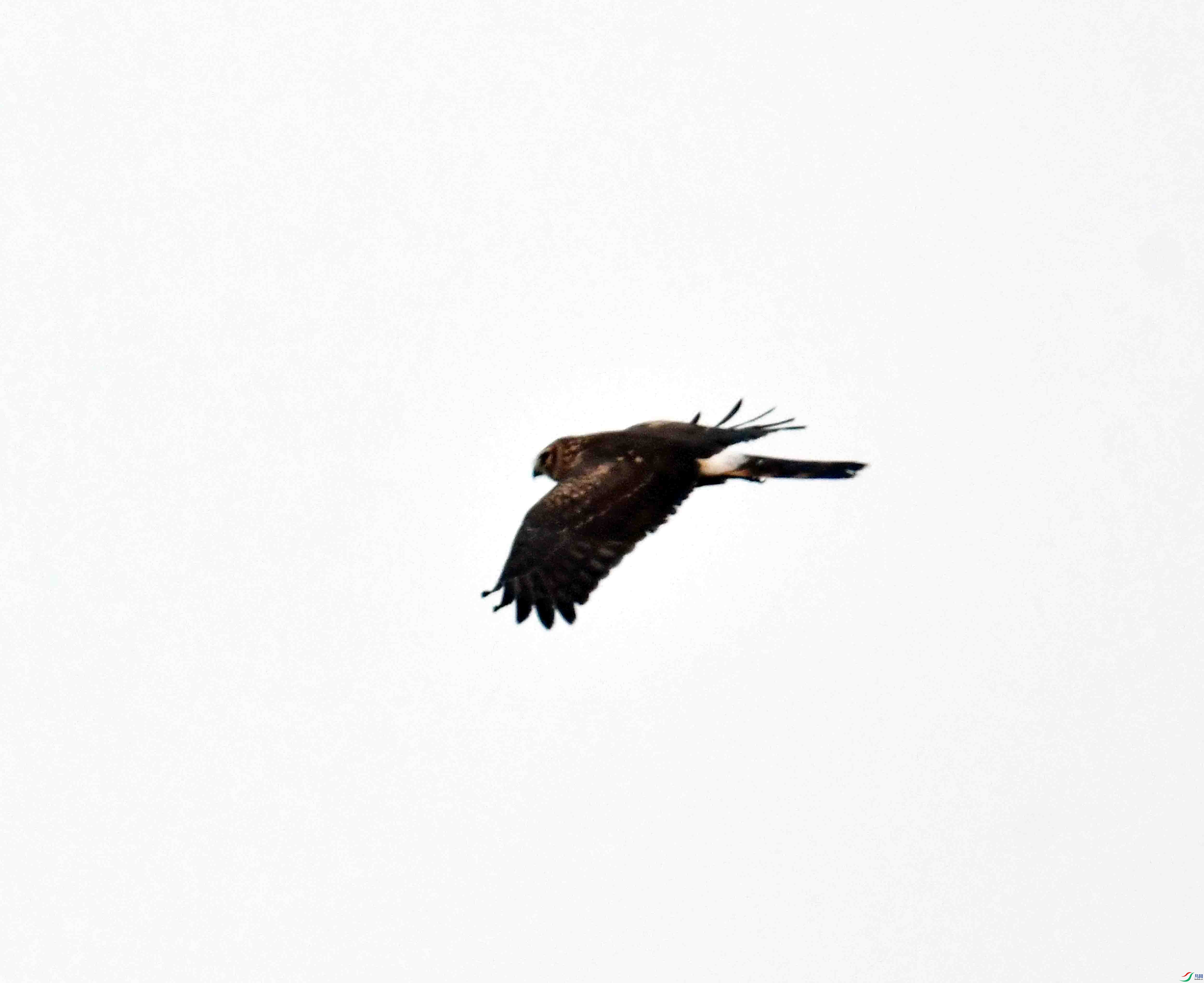 DSC_7576.JPG