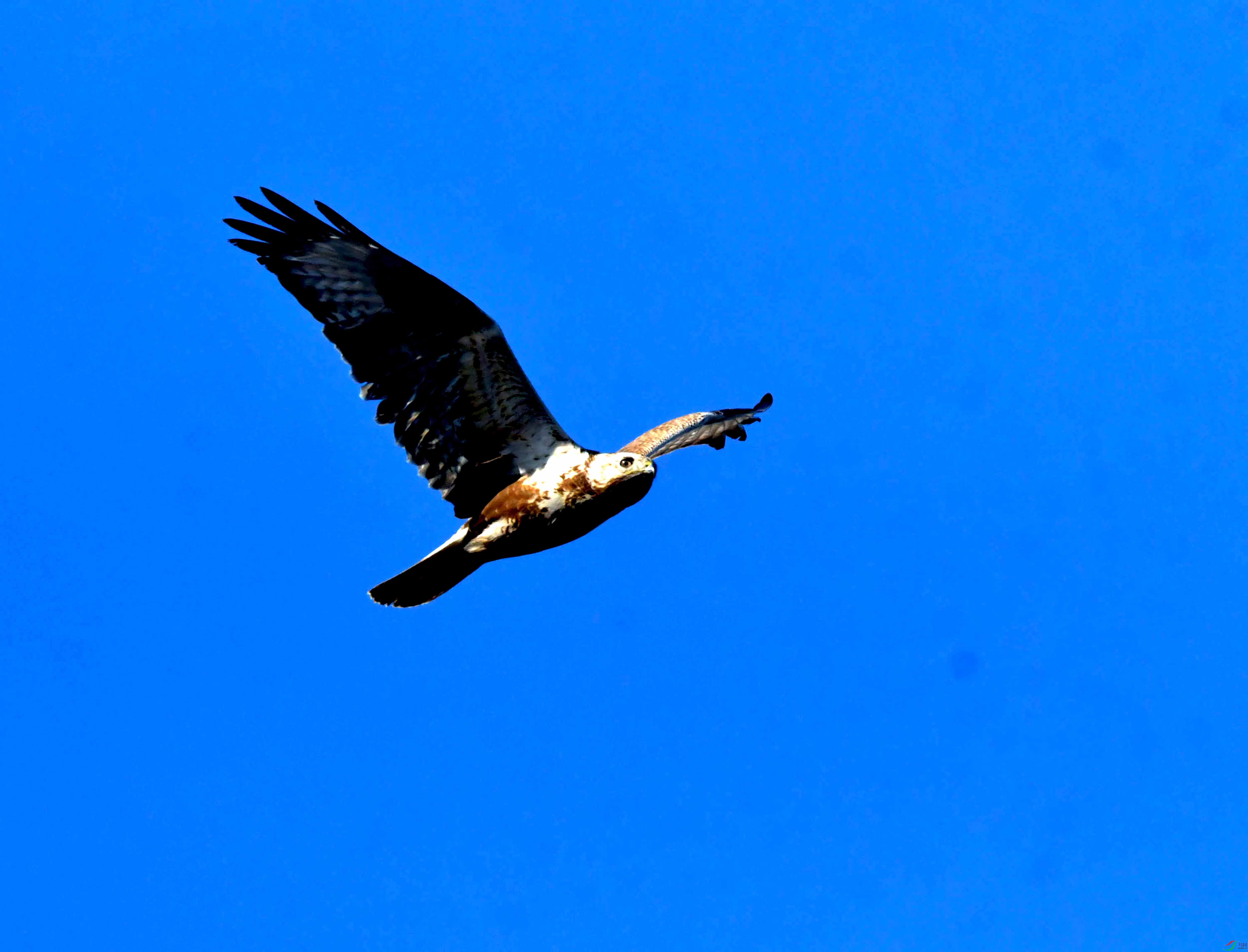 DSC_2536.JPG
