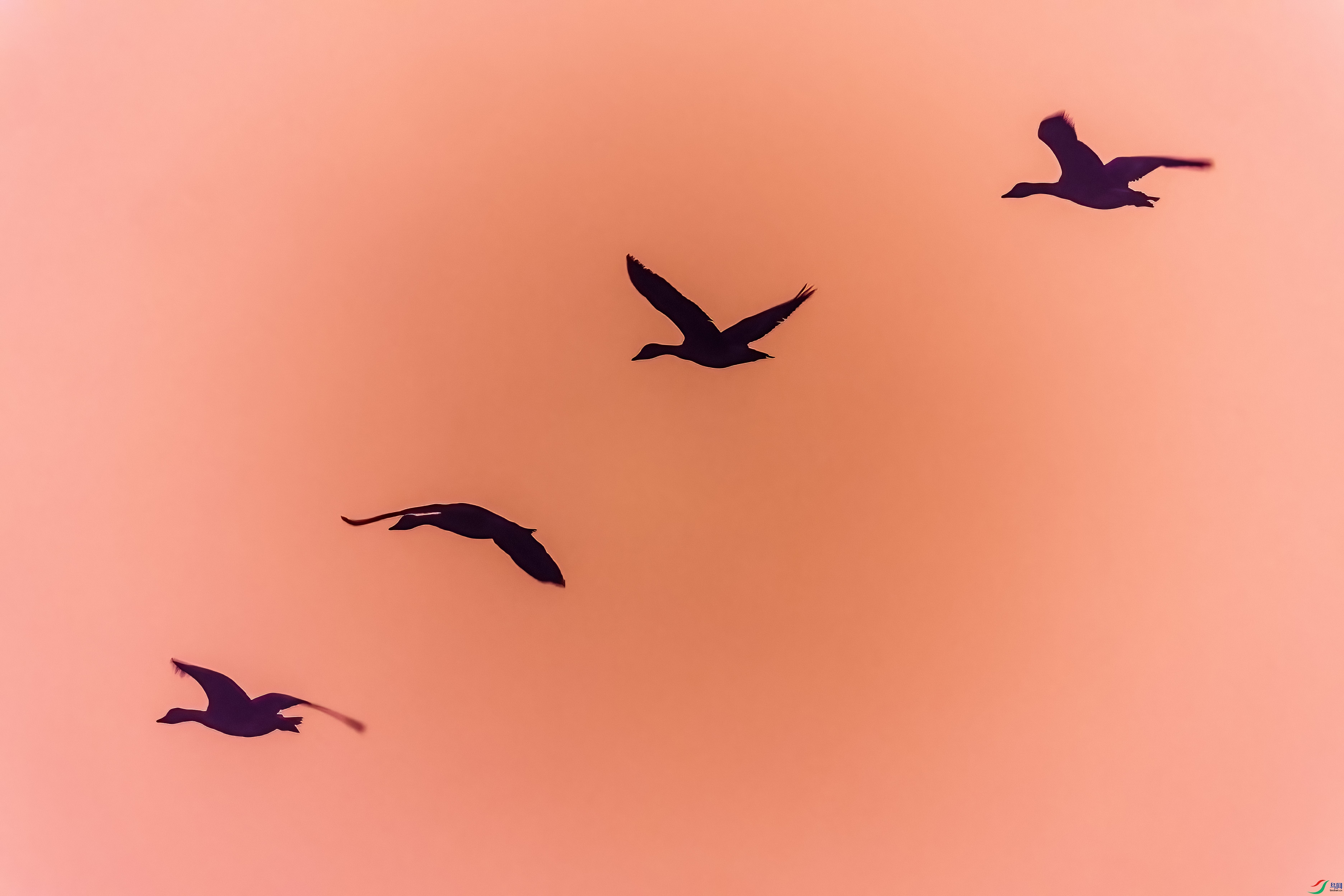 0M3A8952 ����.jpg