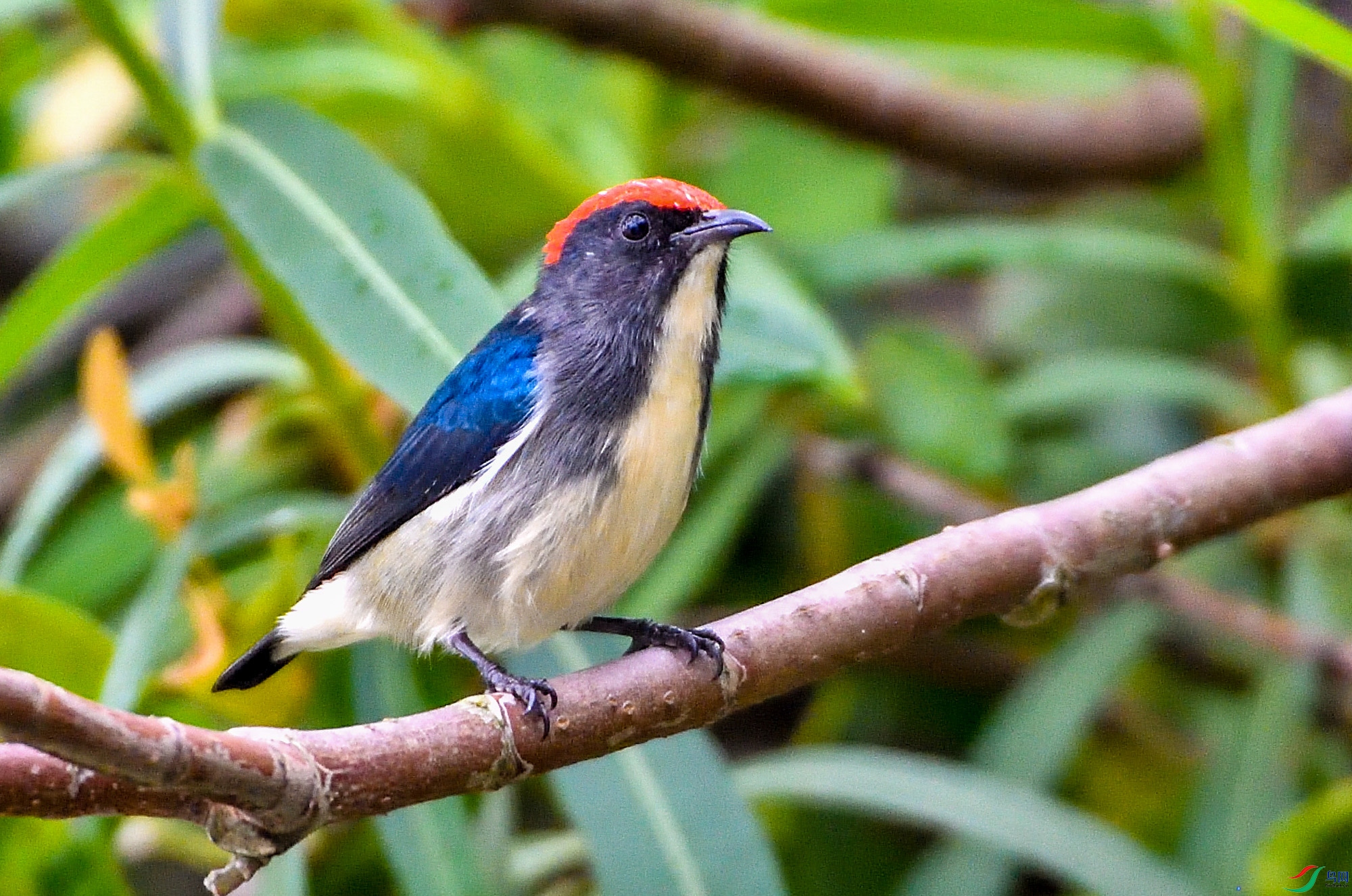 DSC_5408.jpg