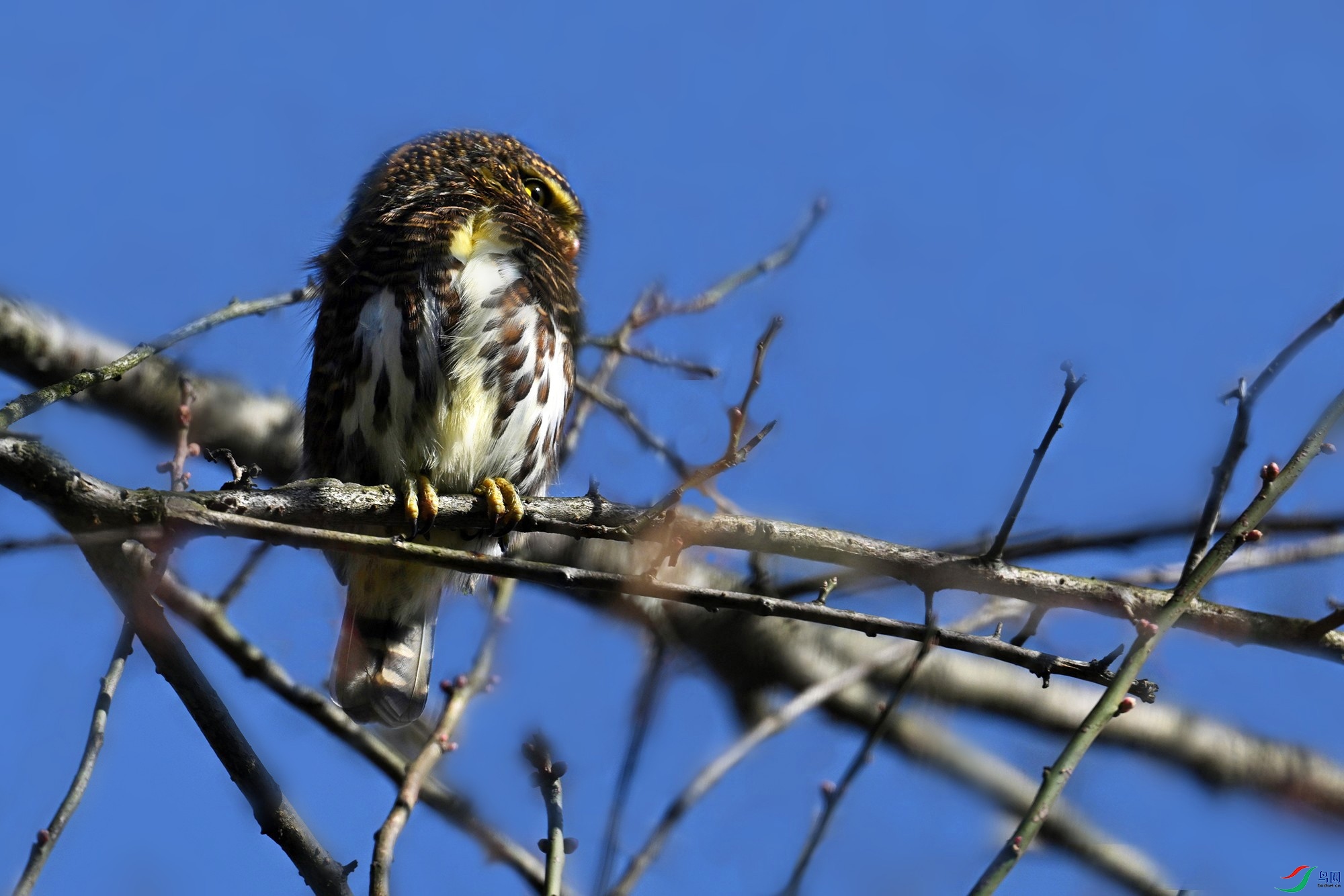 DSC_8324__.jpg