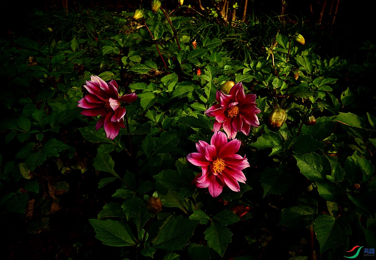PA199645.jpg