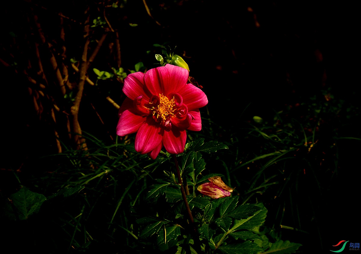 PA199644.jpg