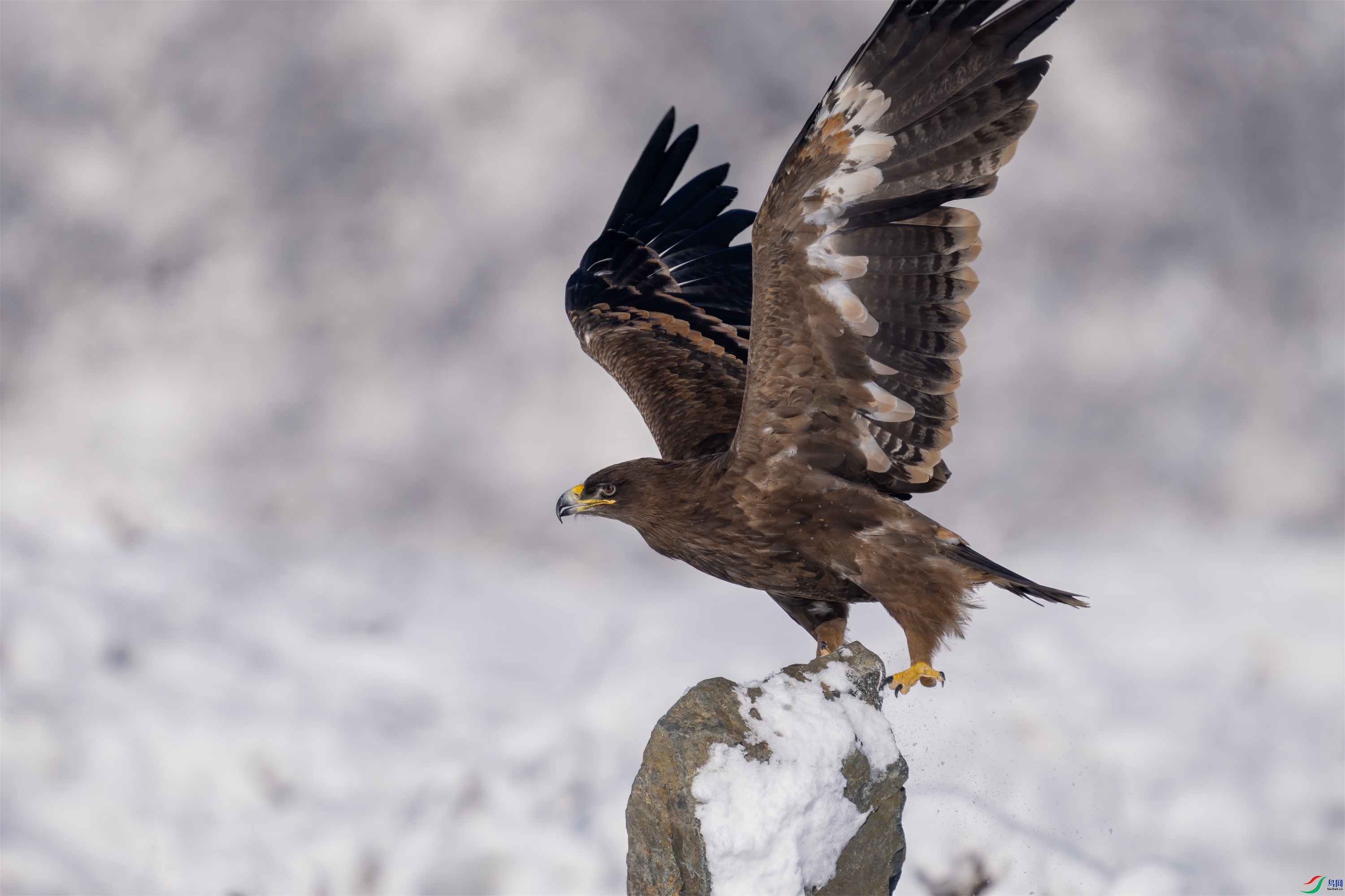 DSC05129 ����.jpg