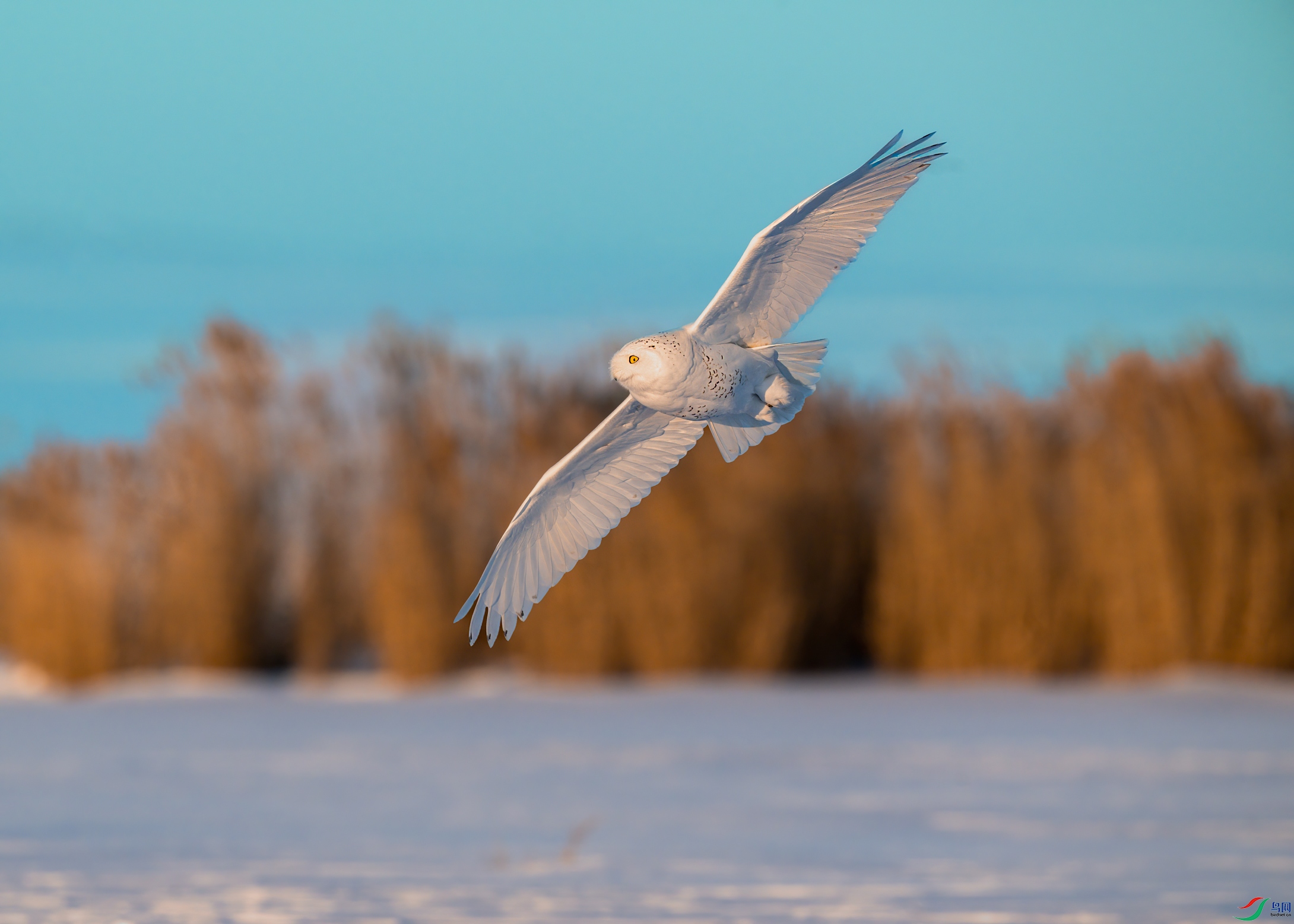 DSC_4312.jpg