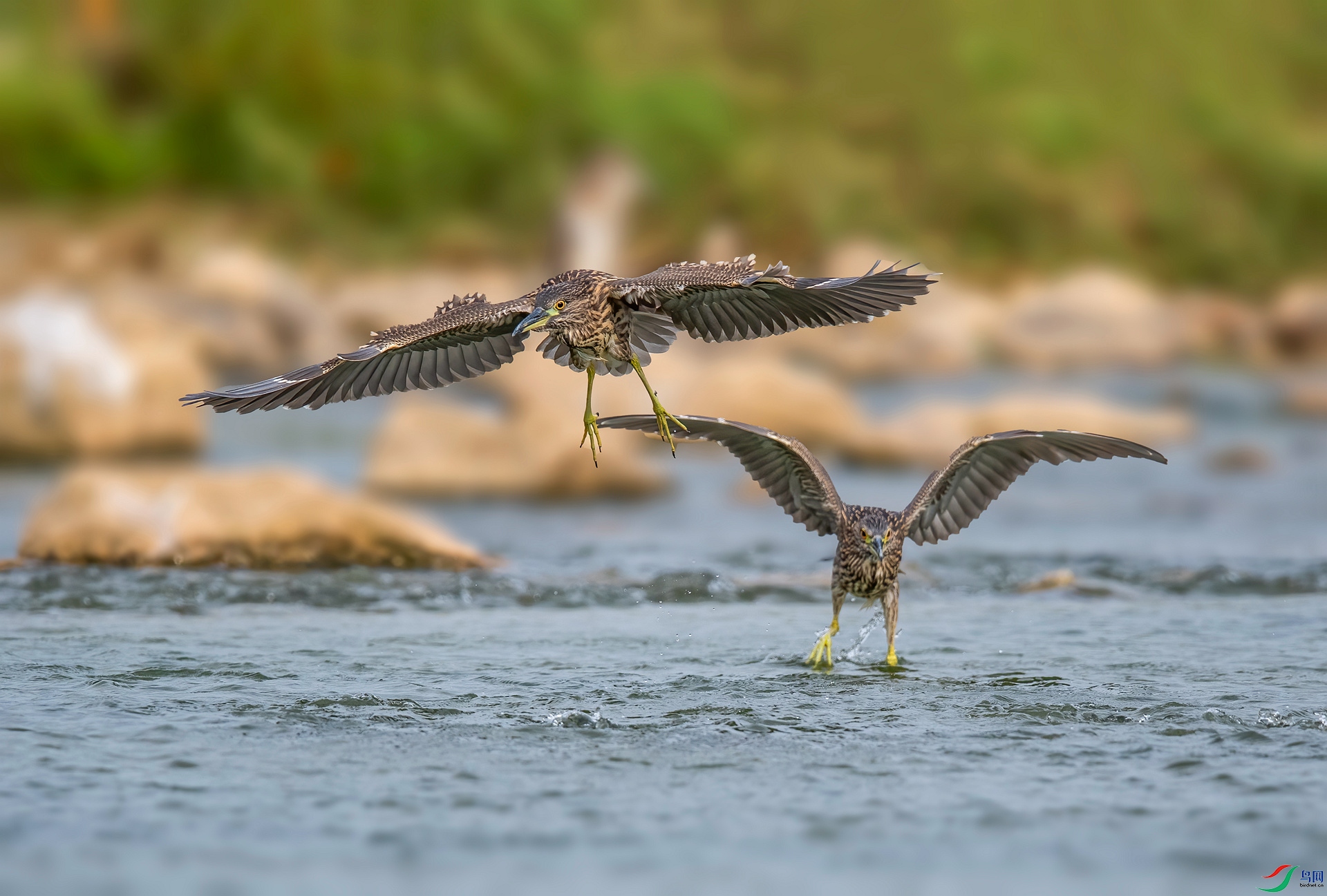 DSC_1726 ����_����.jpg