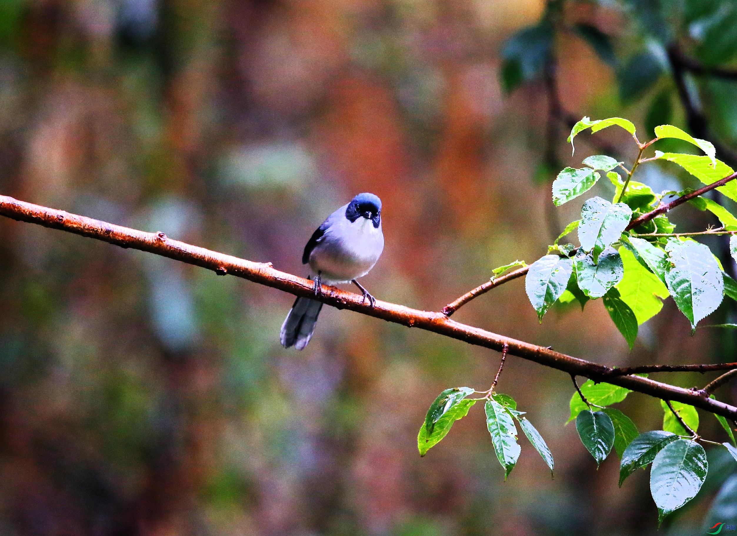 ��ͷ���� (6).JPG