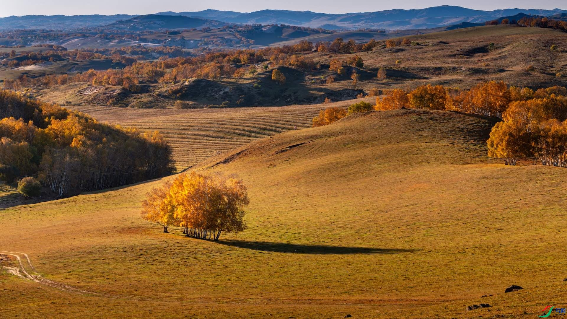 2XXL_8751-����ǿ-NR ����.jpeg