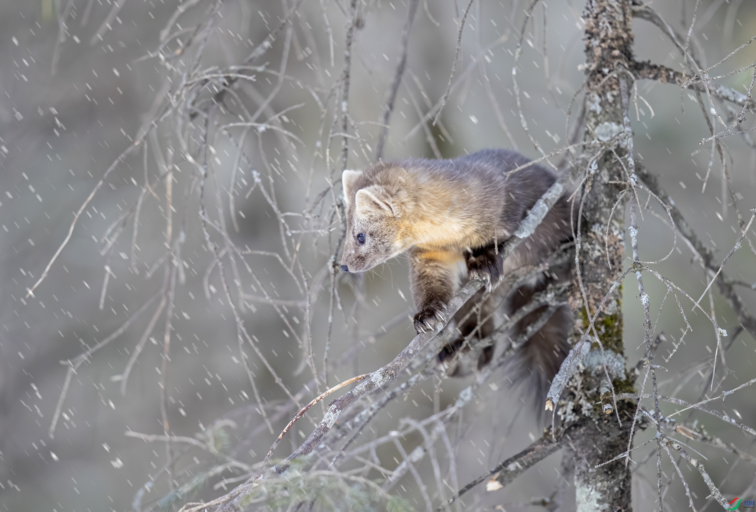 AC3I3744 ���� 2.jpg