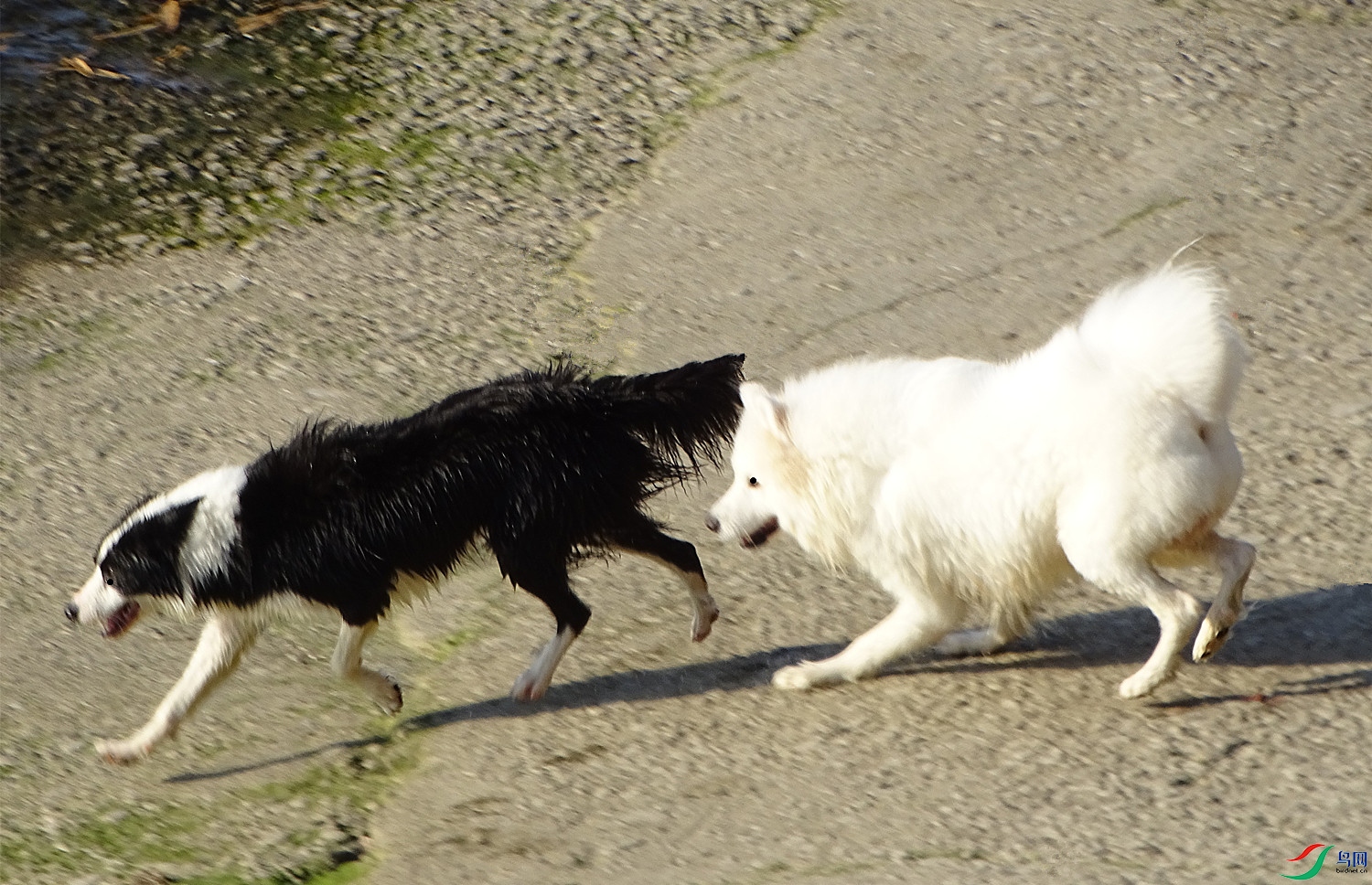 DSC01480_����.jpg
