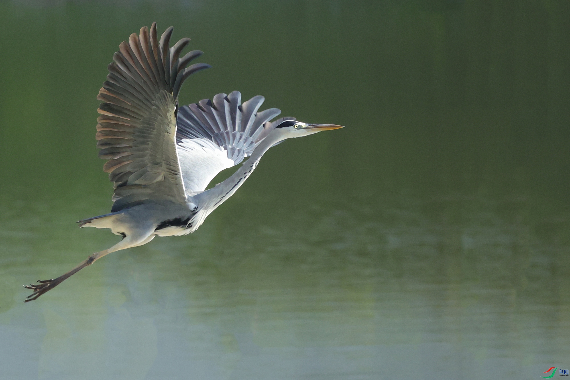 7D9A3976 ����.jpg